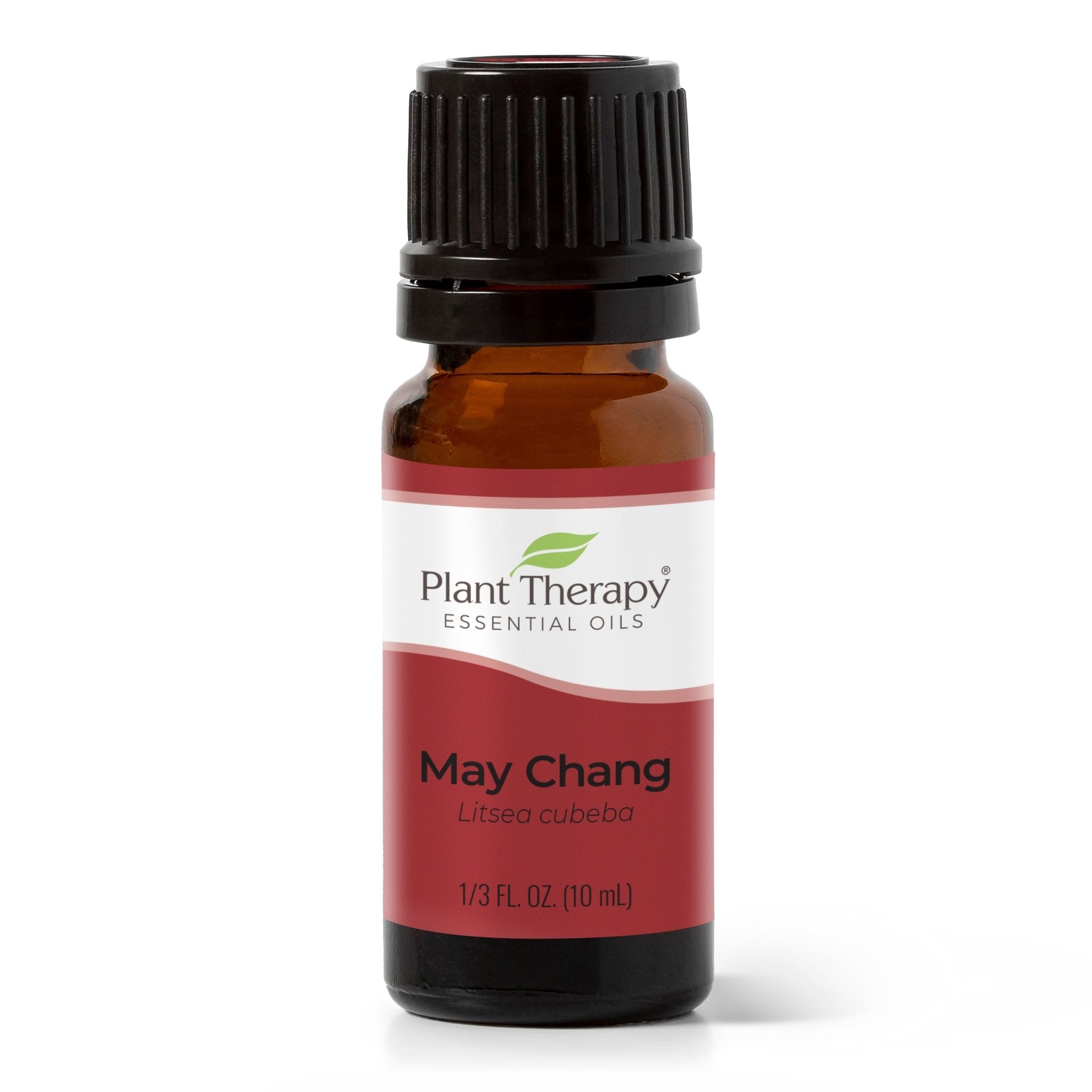 May Chang Essential Oil Plant Therapy