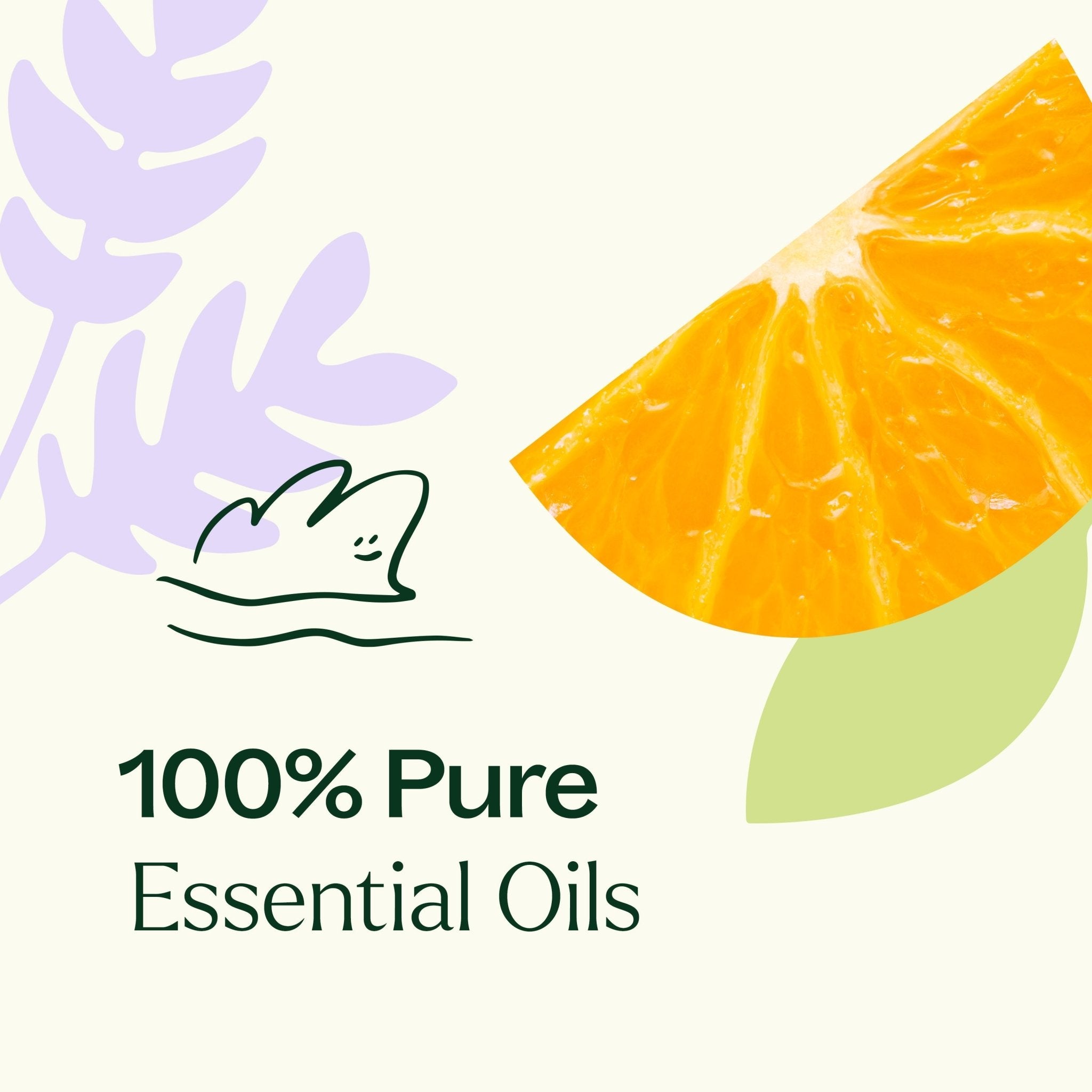 Meditation Essential Oil Blend Plant Therapy