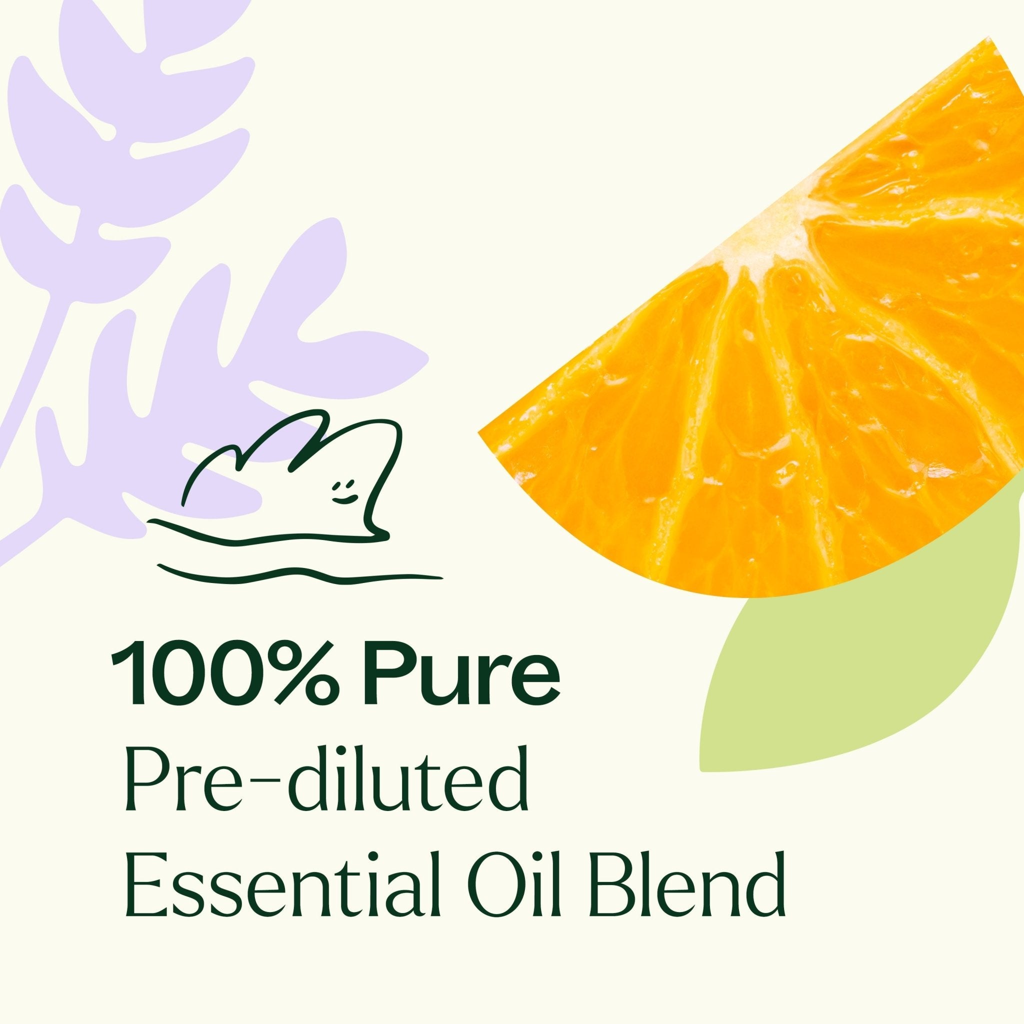 Meditation Essential Oil Blend Pre - Diluted Roll - On Plant Therapy