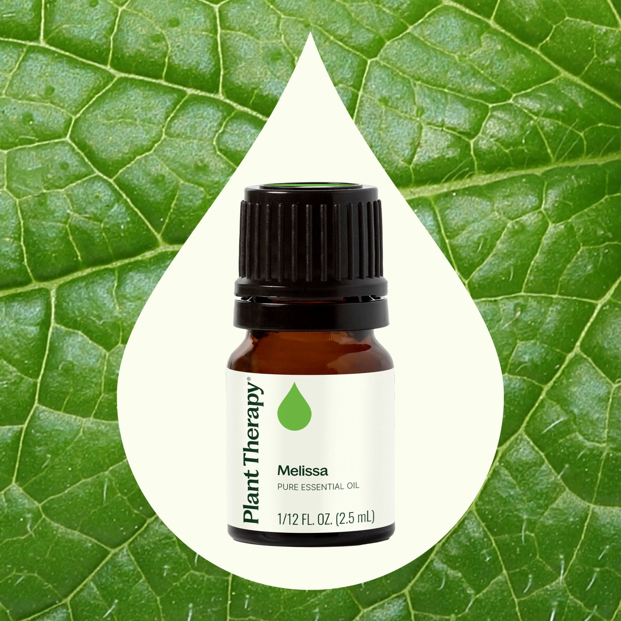 Melissa Essential Oil Plant Therapy
