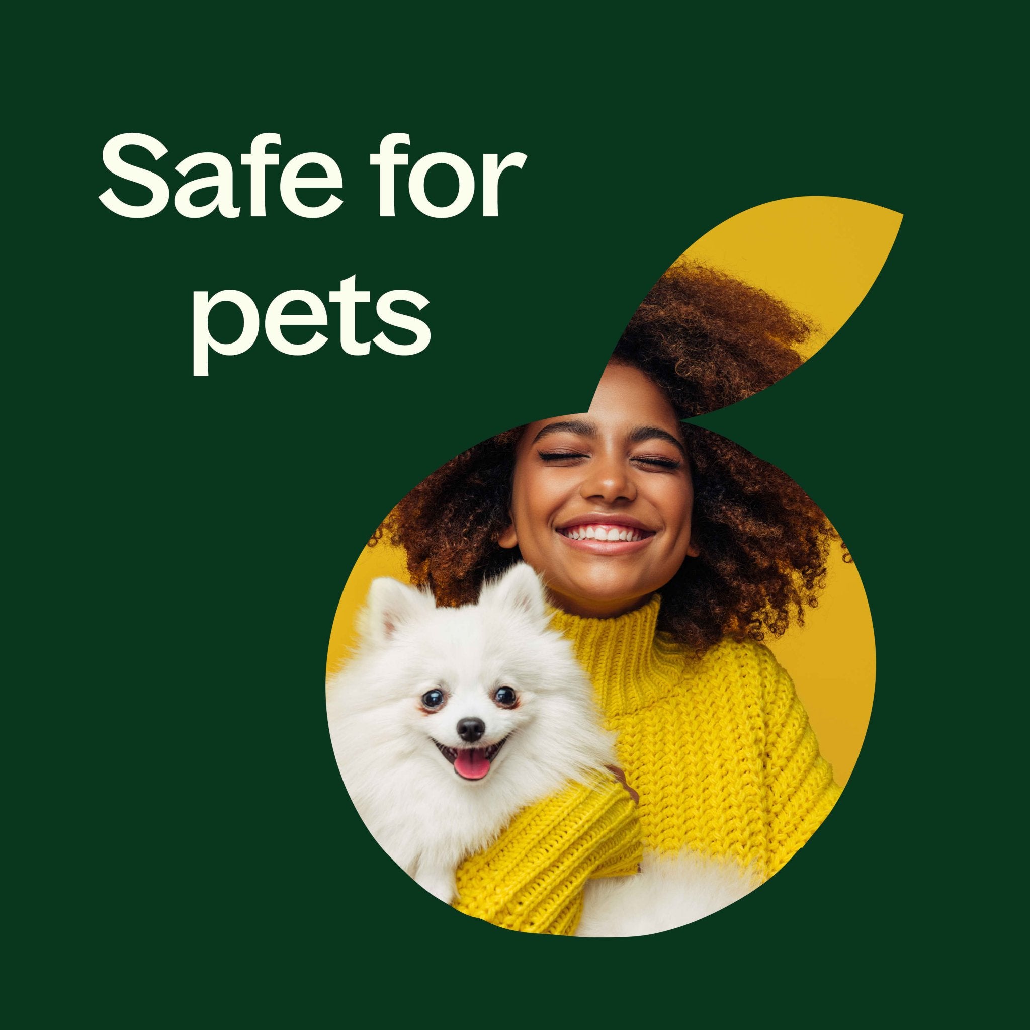 Melissa Essential Oil Plant Therapy