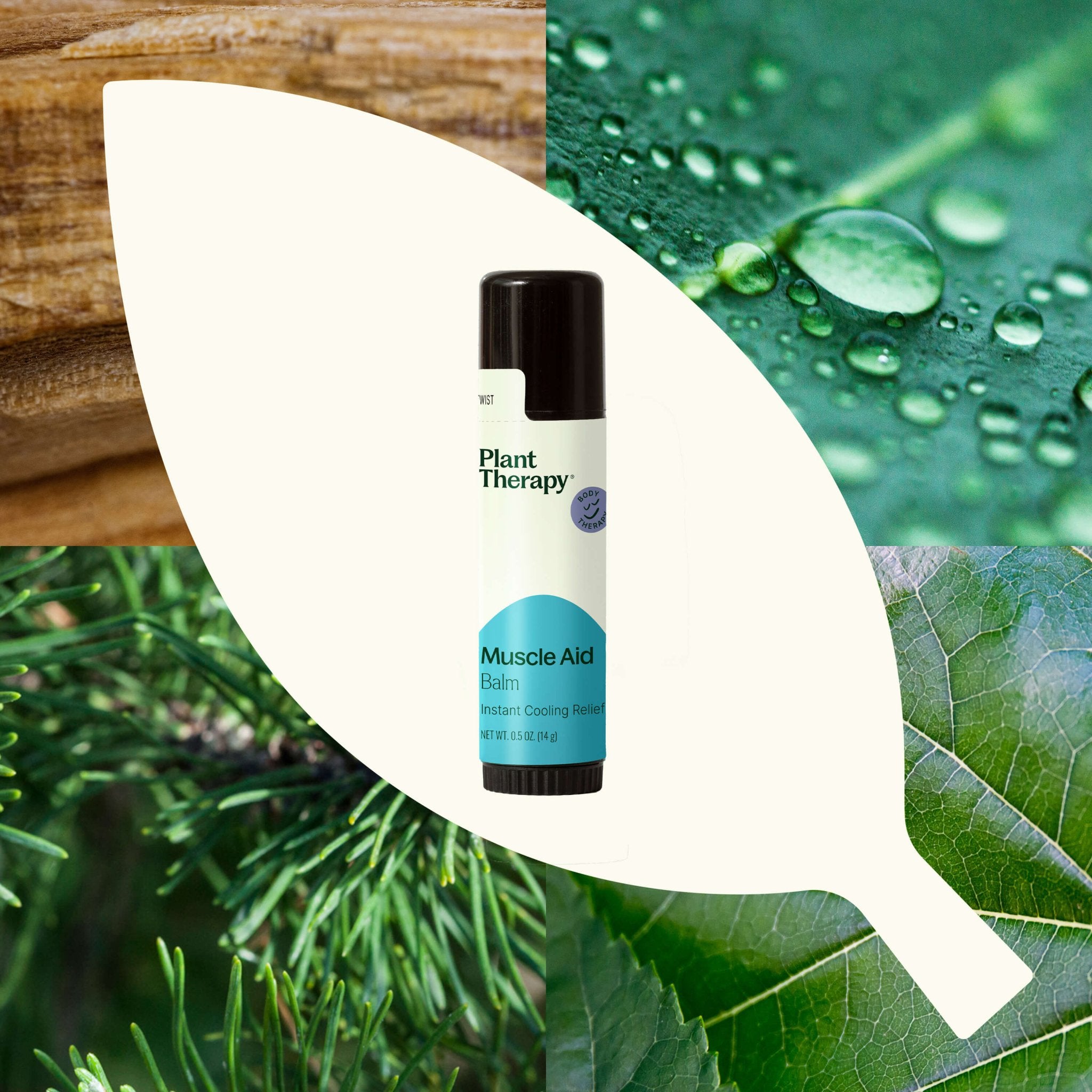 Muscle Aid Balm Plant Therapy