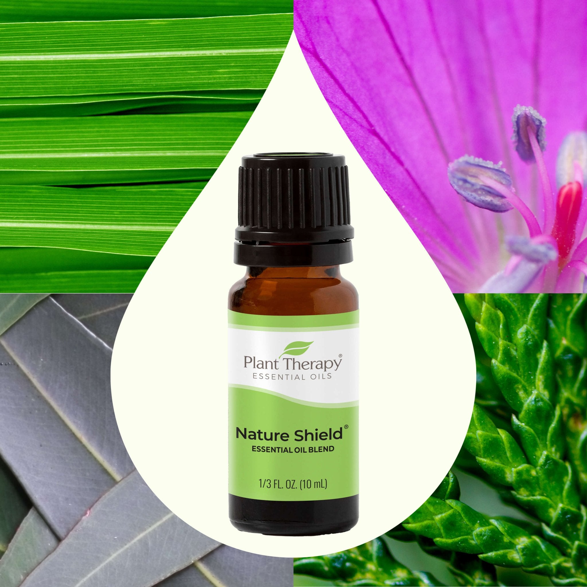 Nature Shield Essential Oil Blend Plant Therapy