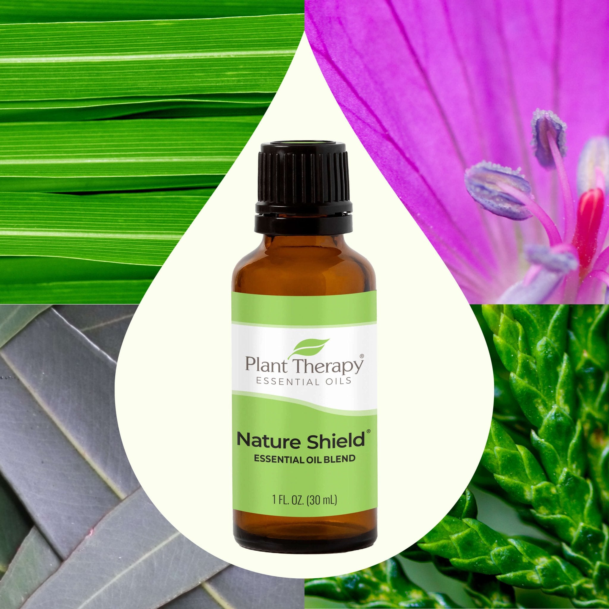 Nature Shield Essential Oil Blend Plant Therapy