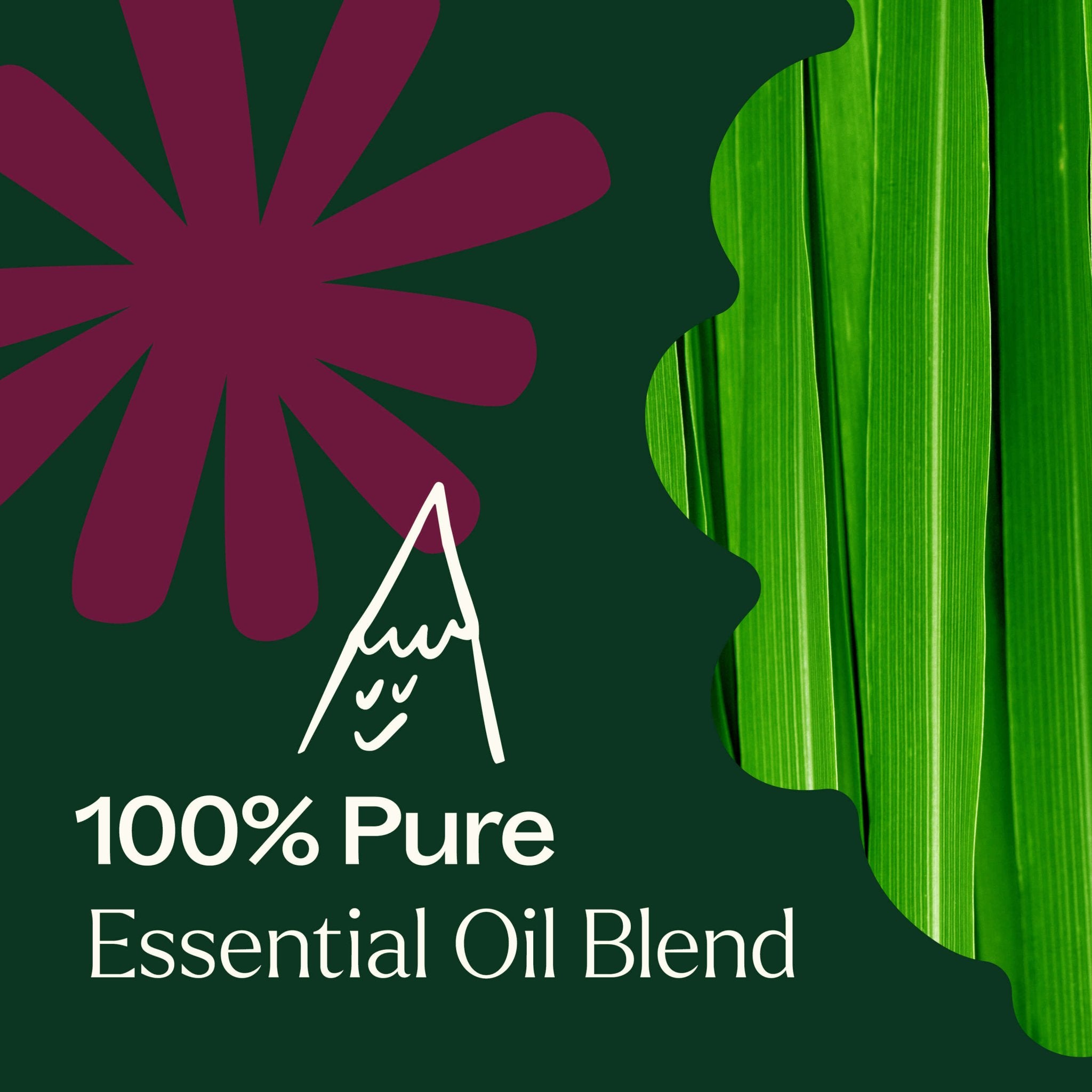 Nature Shield Essential Oil Blend Plant Therapy