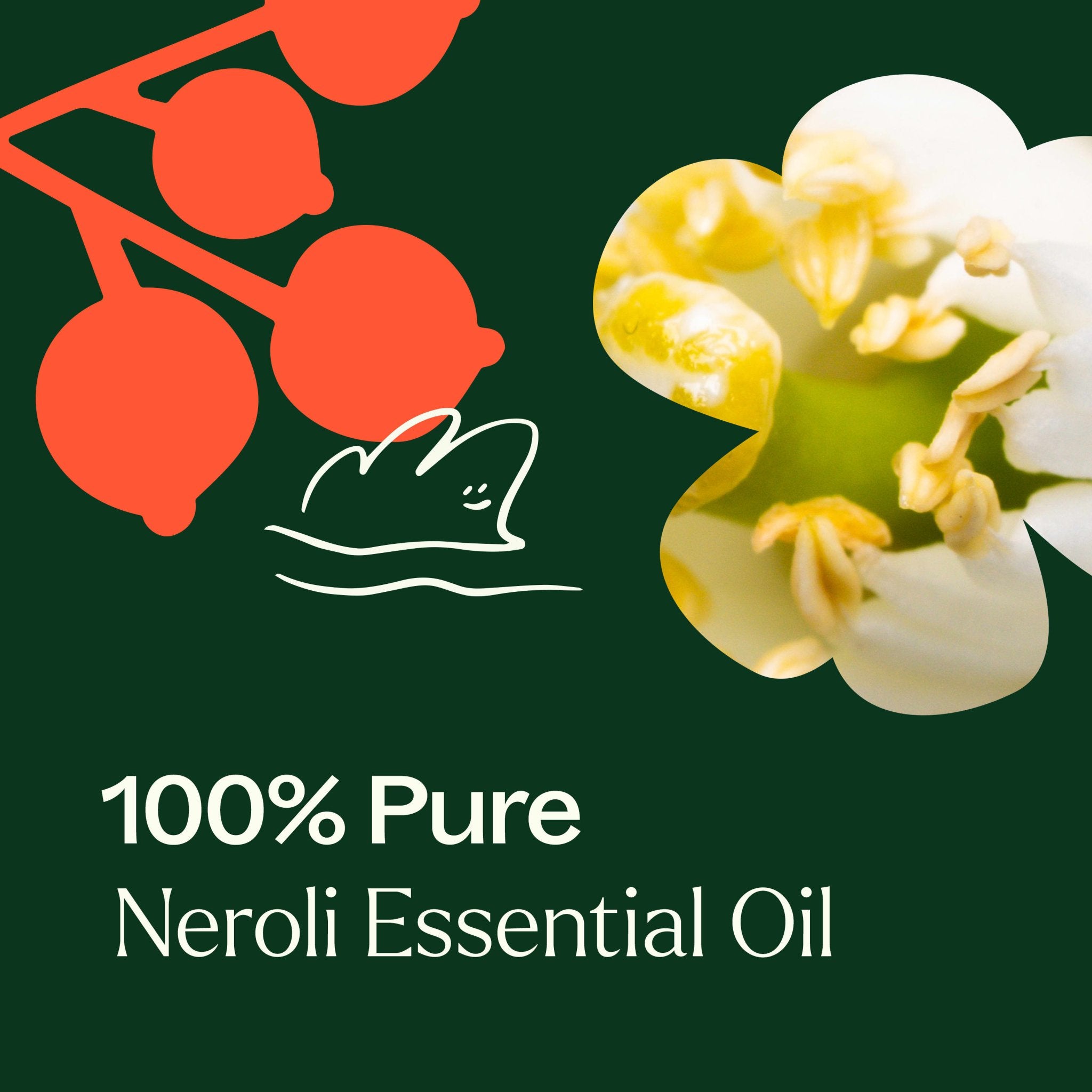 Neroli Essential Oil Plant Therapy