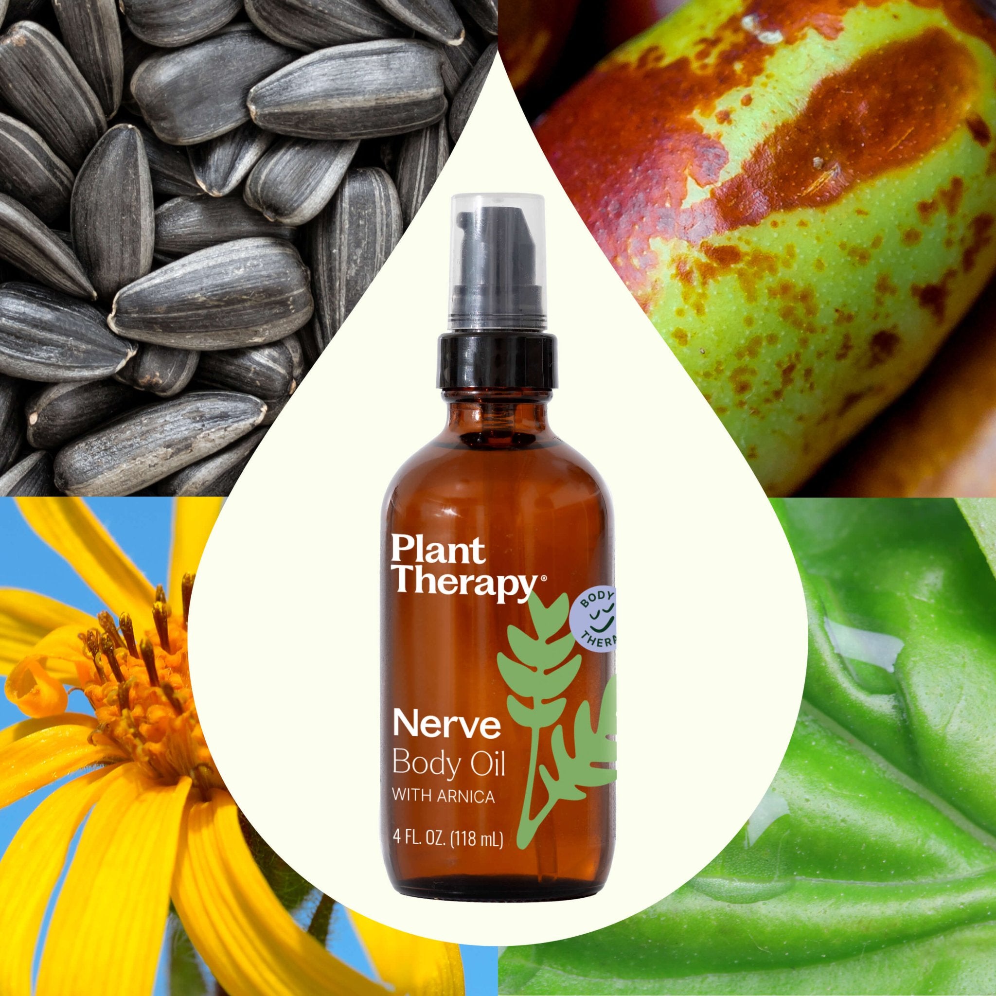 Nerve Body Oil with Arnica Plant Therapy