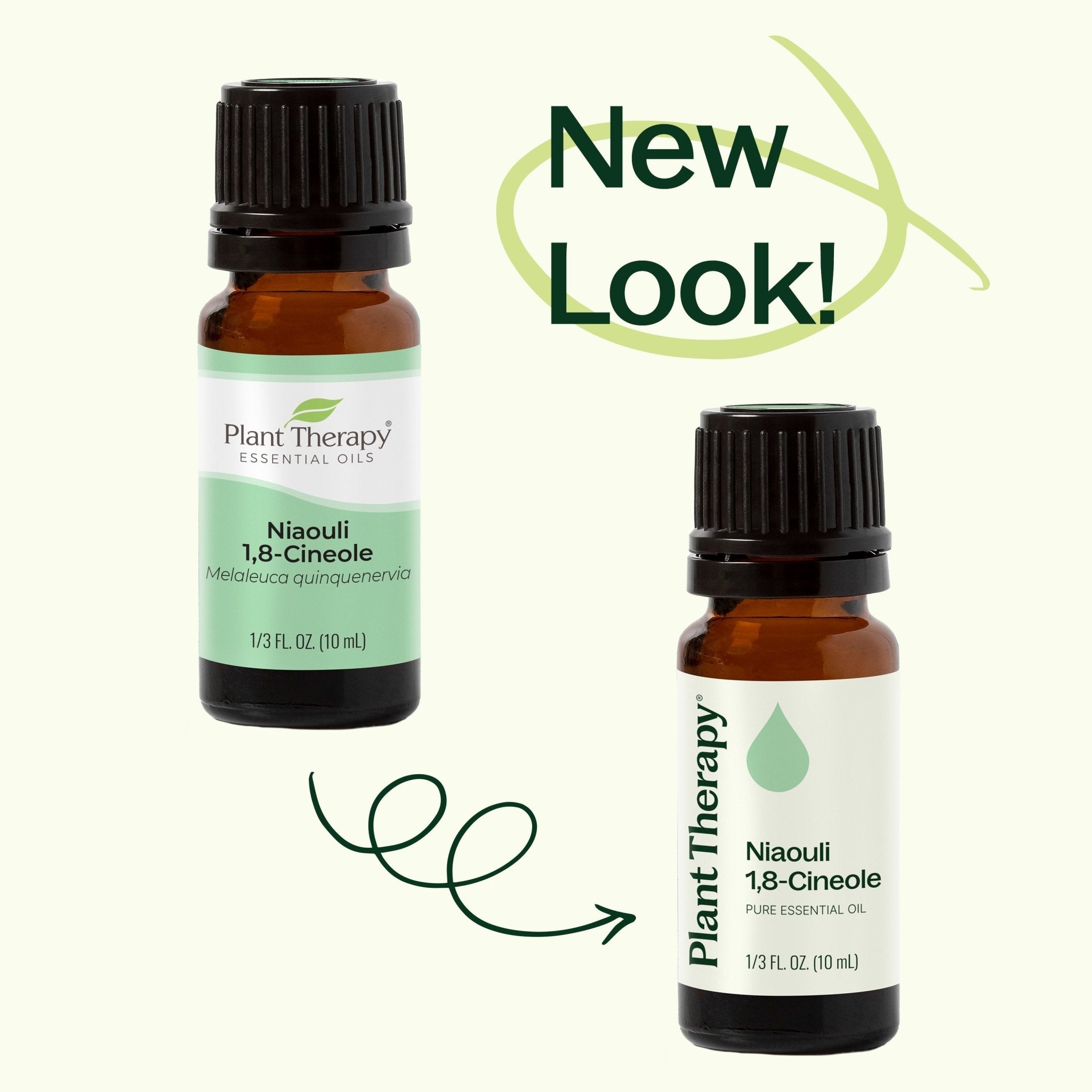 Niaouli 1,8 - Cineole Essential Oil Plant Therapy