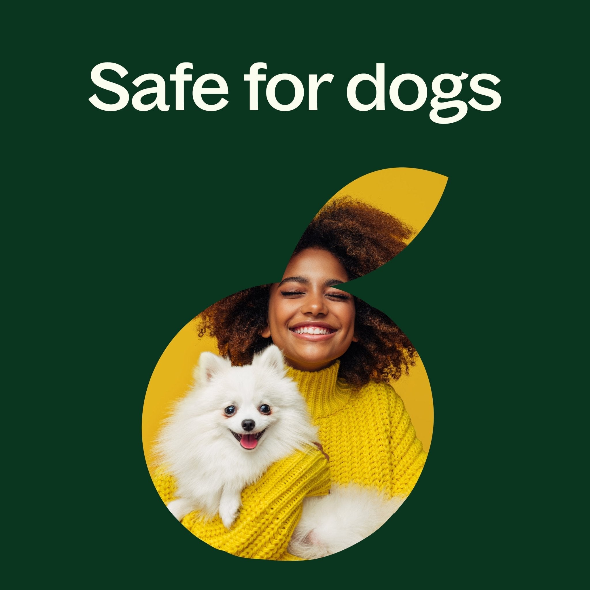 Niaouli 1,8 - Cineole Essential Oil Plant Therapy