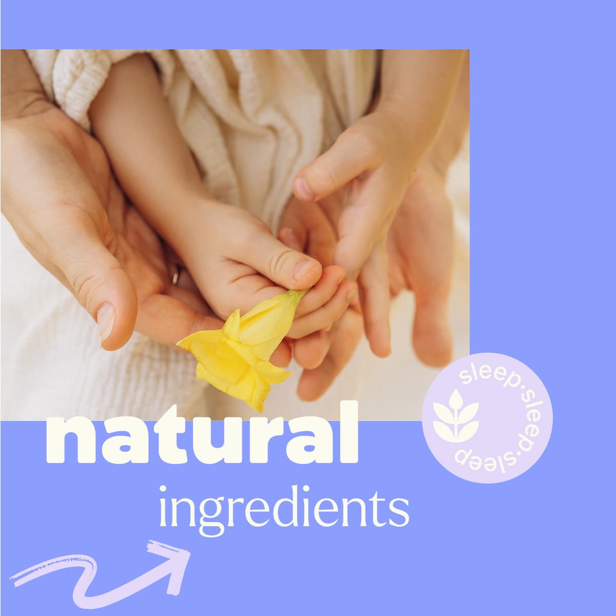 Nighty Night Lotion Plant Therapy