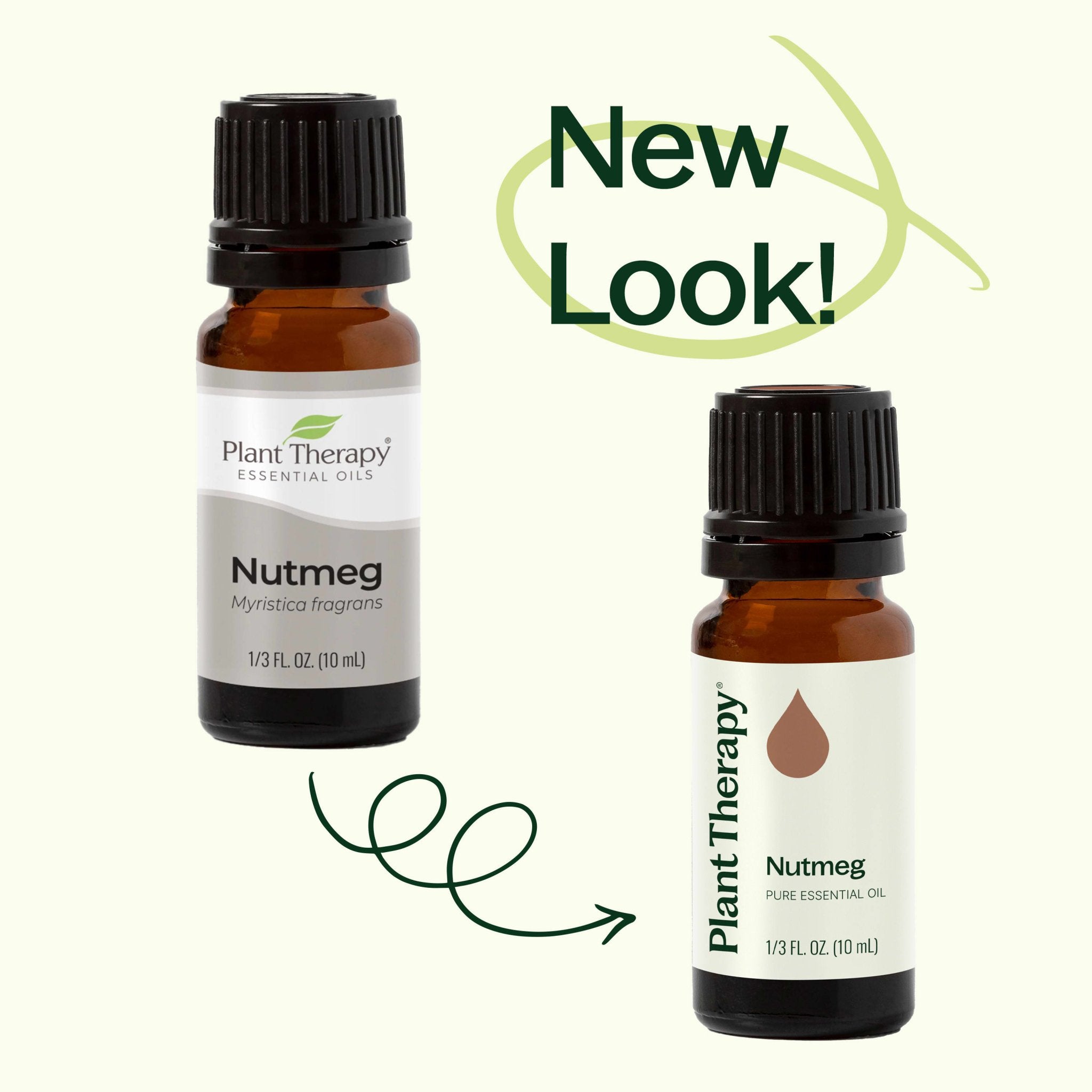 Nutmeg Essential Oil Plant Therapy