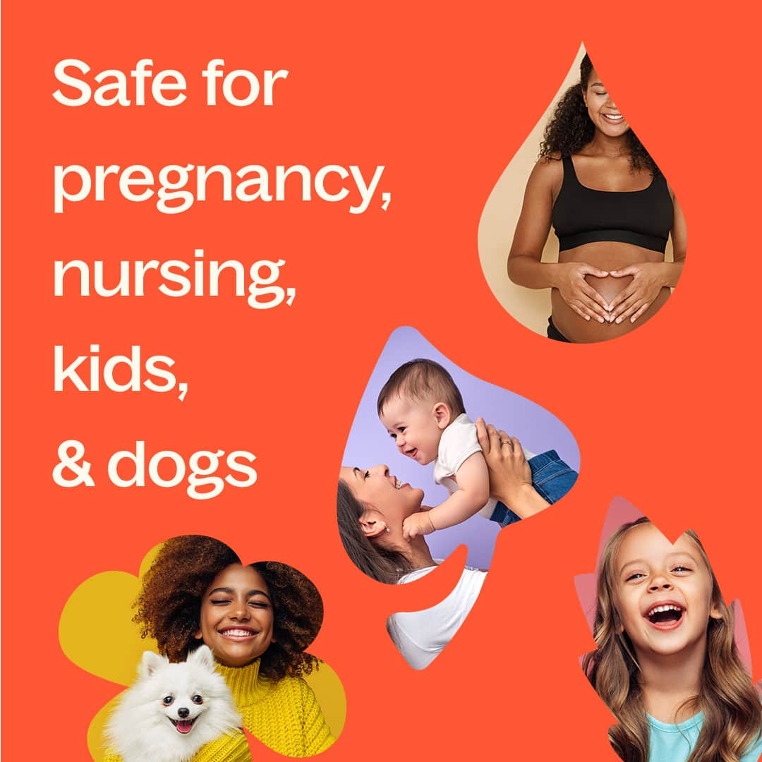 One & All Pre - Diluted Essential Oil Roll - On Blend 10 mL Plant Therapy