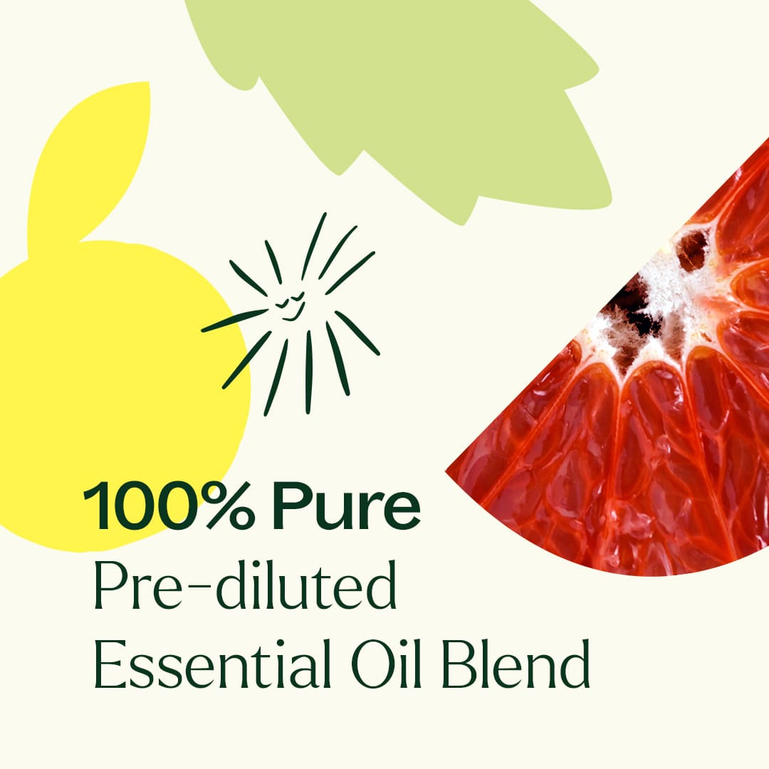 One & All Pre - Diluted Essential Oil Roll - On Blend 10 mL Plant Therapy