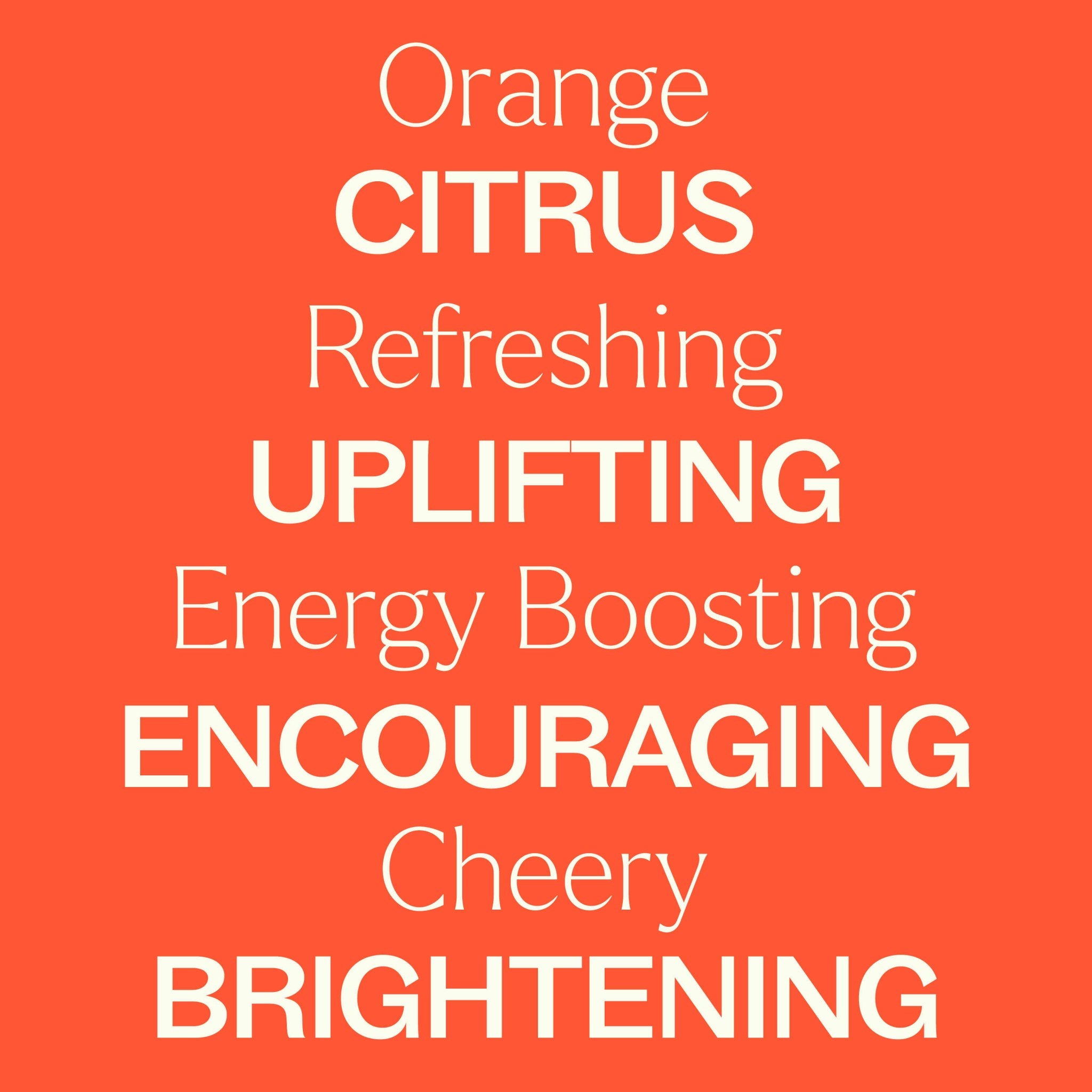 Orange Essence Oil Plant Therapy