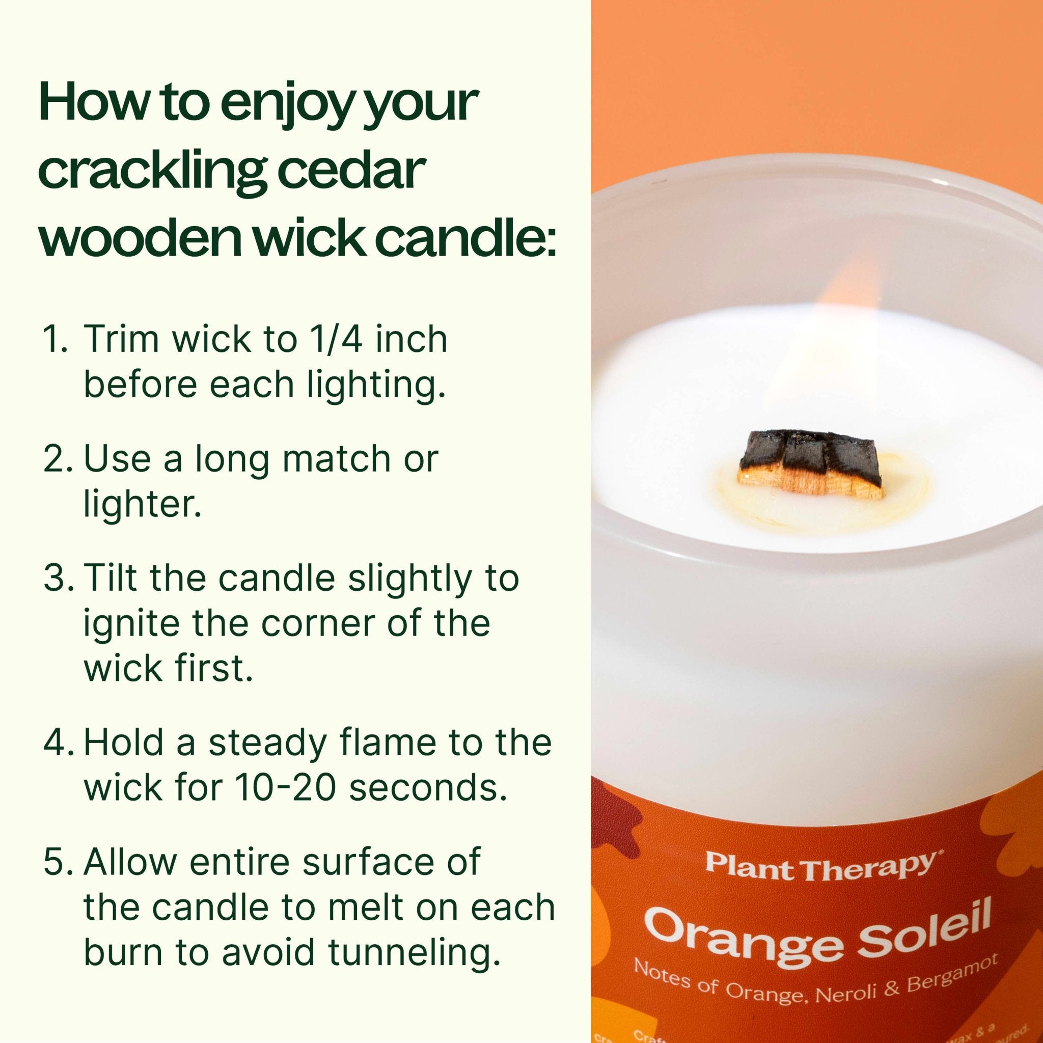 Orange Soleil Naturally Scented Candle Plant Therapy