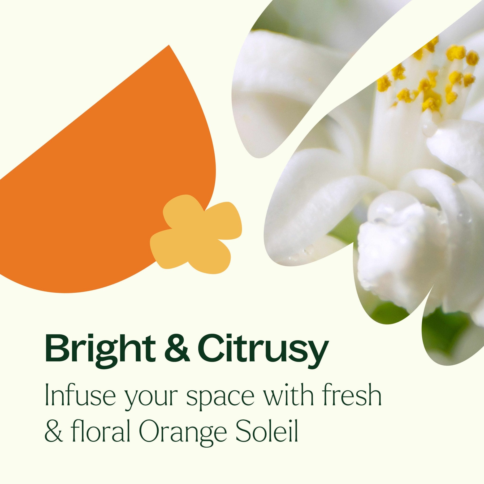 Orange Soleil Naturally Scented Candle Plant Therapy