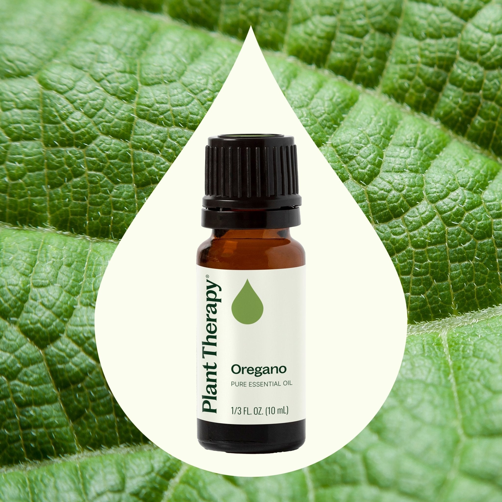 Oregano Essential Oil Plant Therapy
