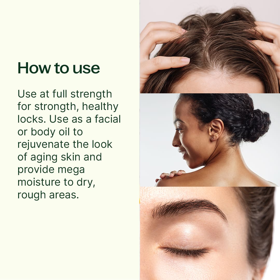 Organic Argan Carrier Oil Plant Therapy