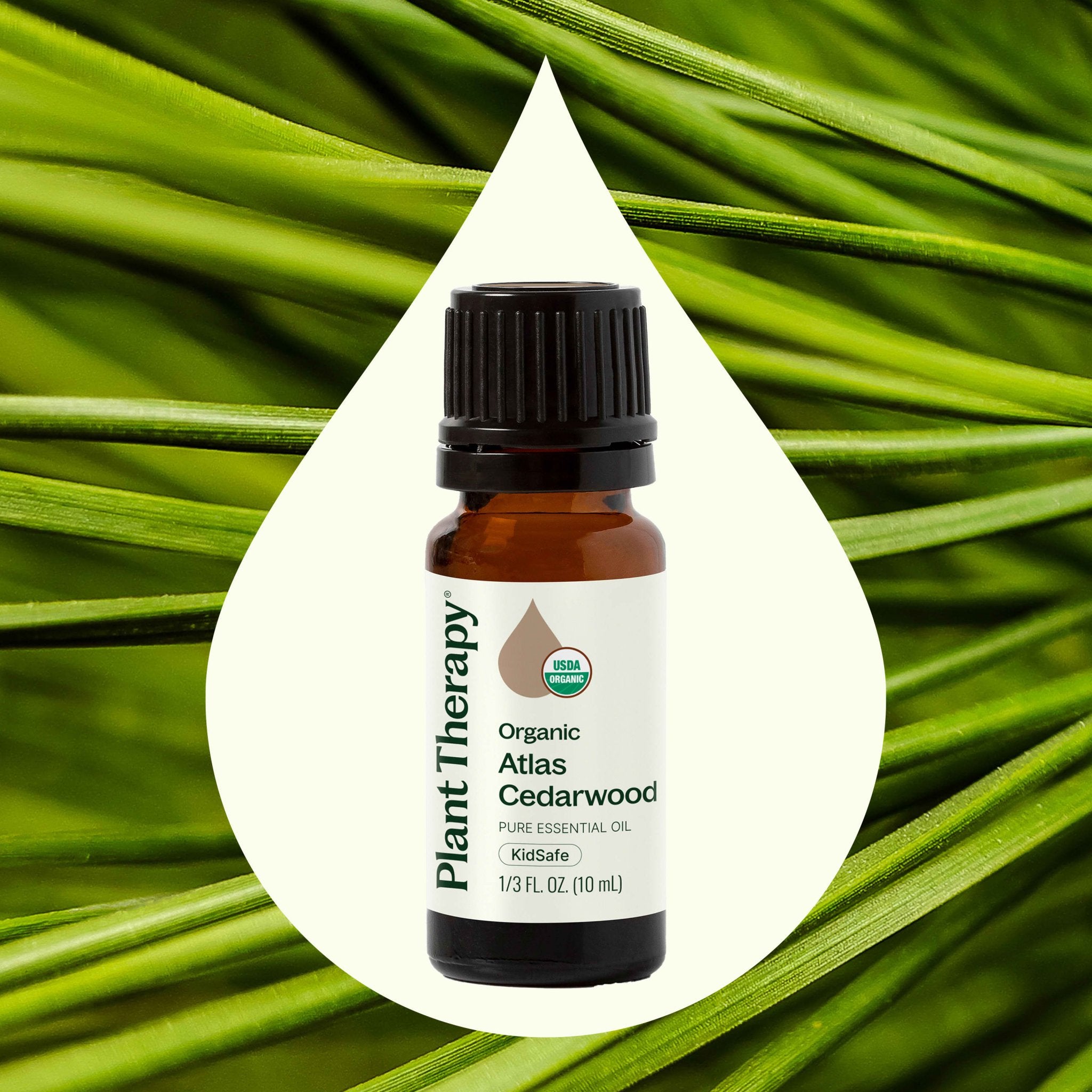 Organic Atlas Cedarwood Essential Oil Plant Therapy