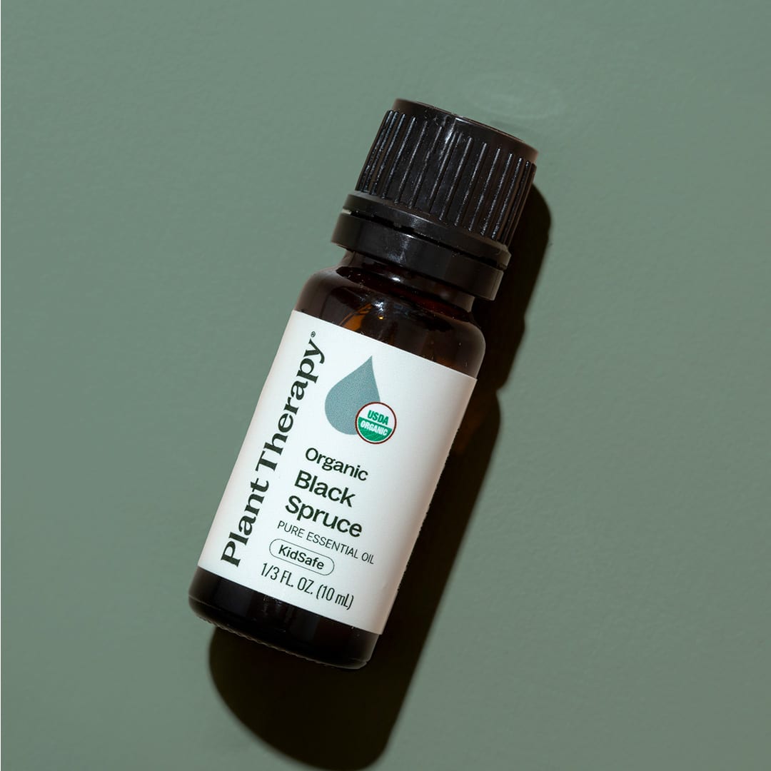 Organic Black Spruce Essential Oil Plant Therapy