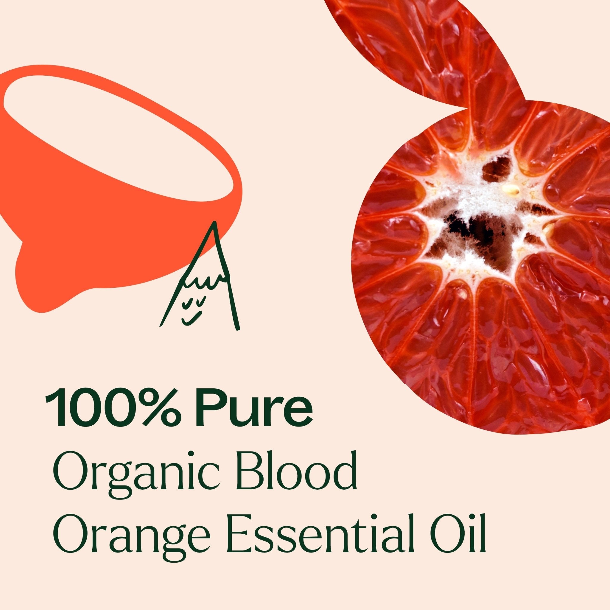Organic Blood Orange Essential Oil Plant Therapy