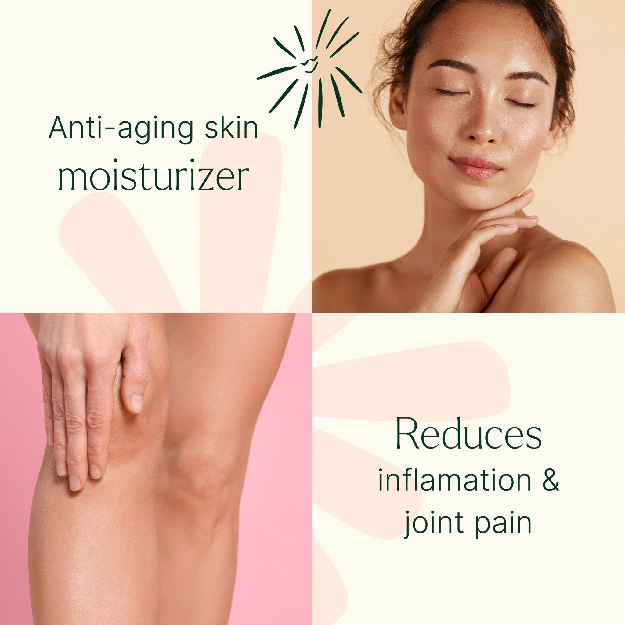 Organic Castor Body Oil Roll - On Plant Therapy