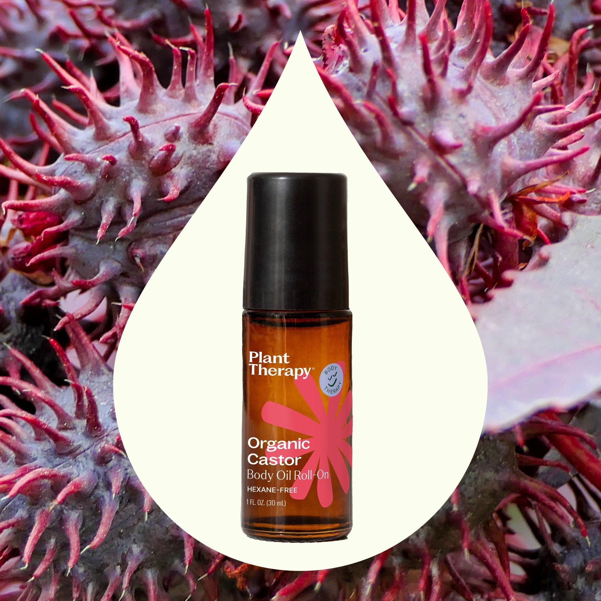 Organic Castor Body Oil Roll - On Plant Therapy
