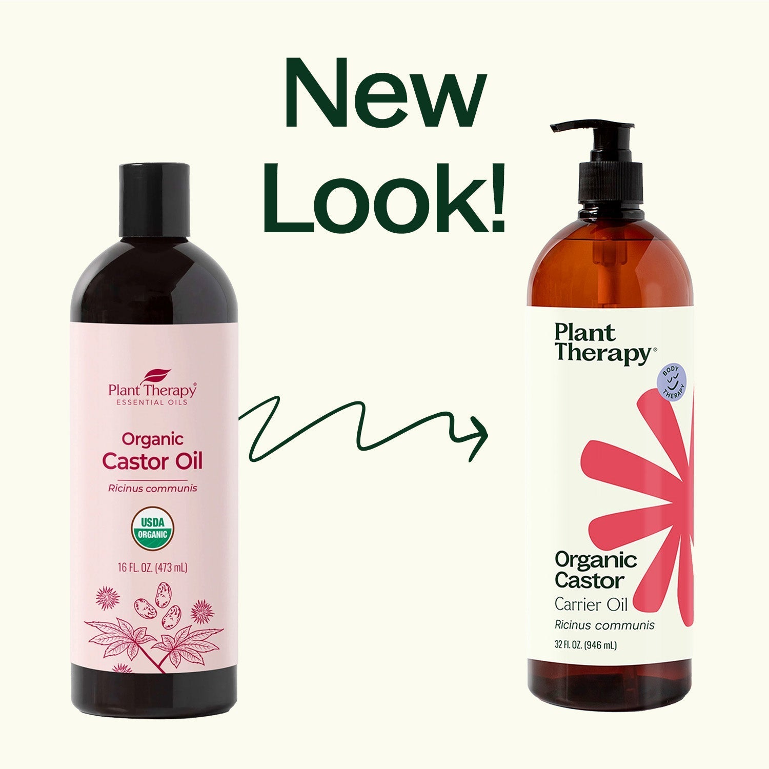 Organic Castor Carrier Oil Plant Therapy