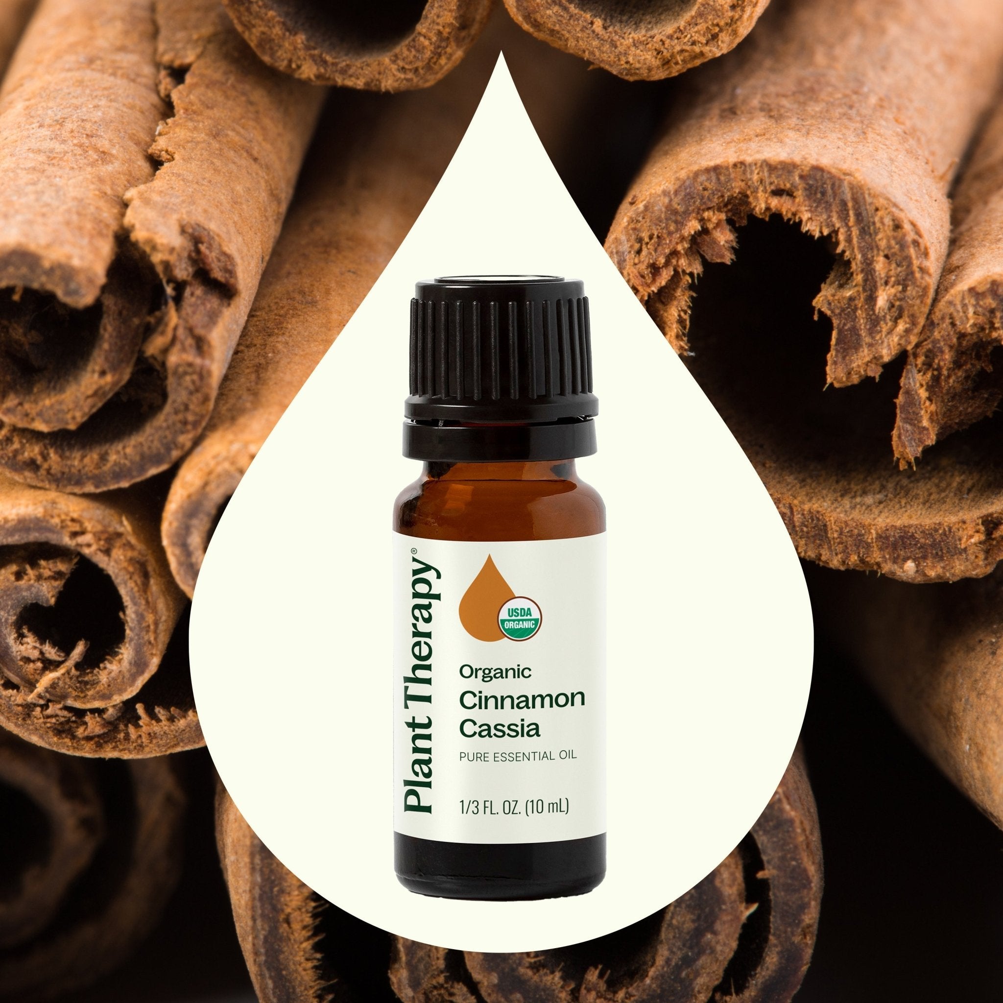 Organic Cinnamon Cassia Essential Oil Plant Therapy