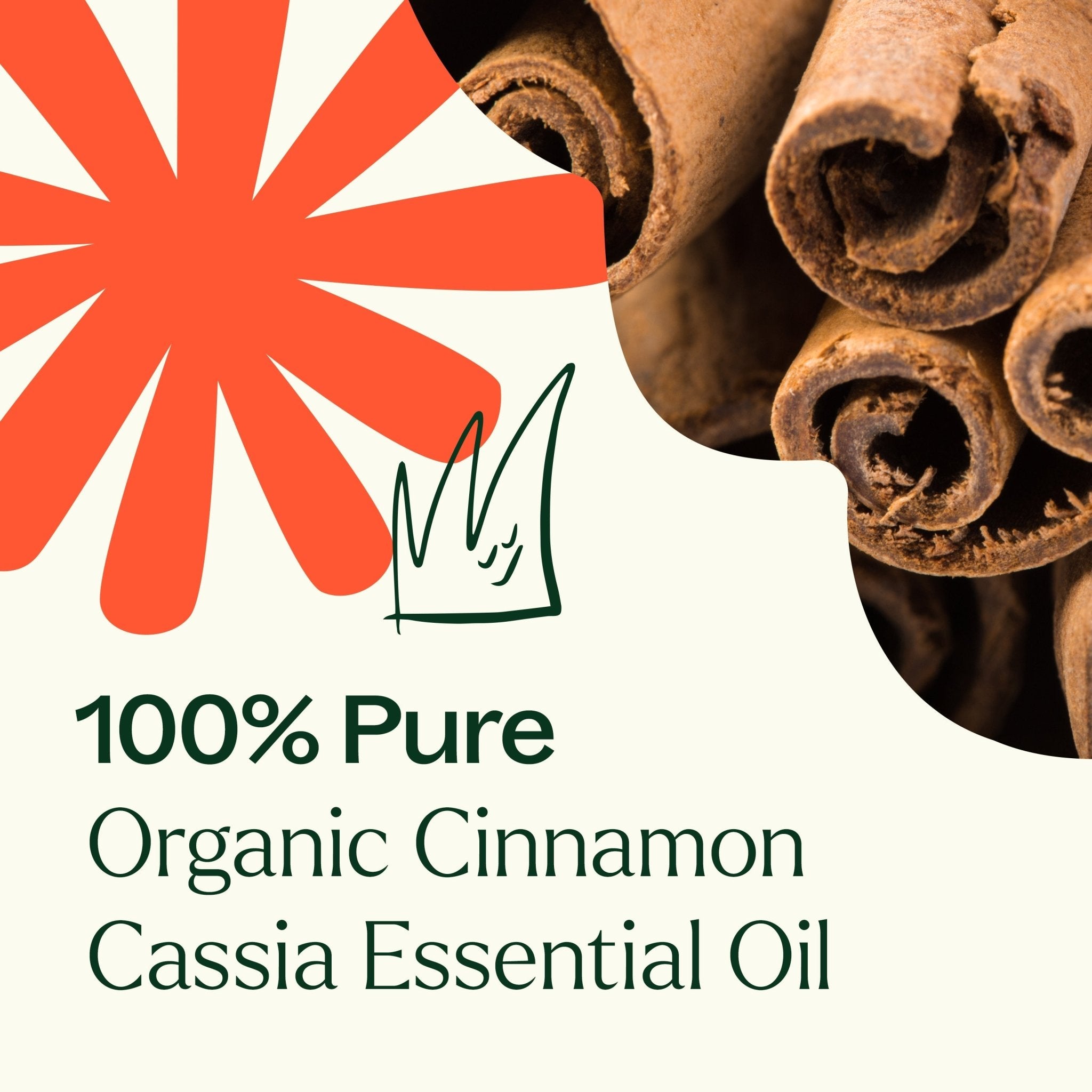 Organic Cinnamon Cassia Essential Oil Plant Therapy