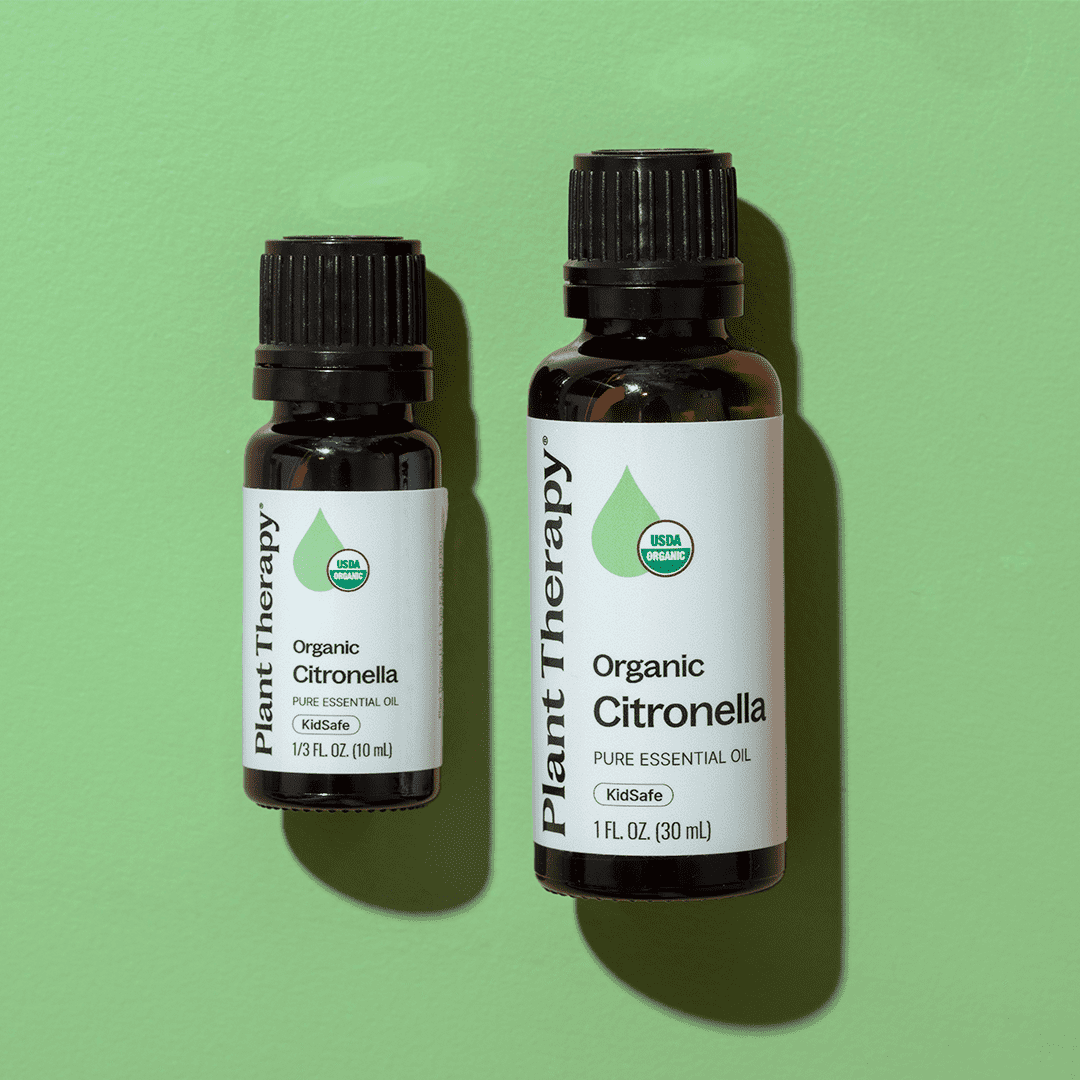 Organic Citronella Essential Oil Plant Therapy