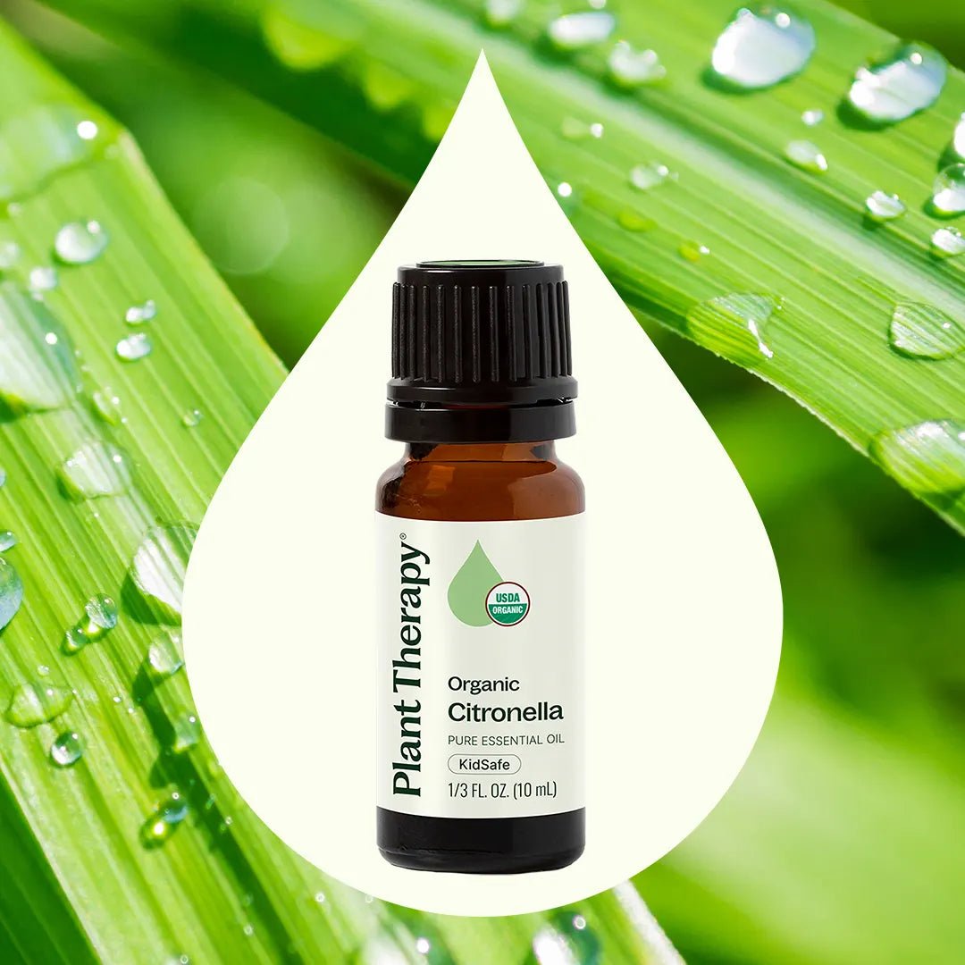 Organic Citronella Essential Oil Plant Therapy