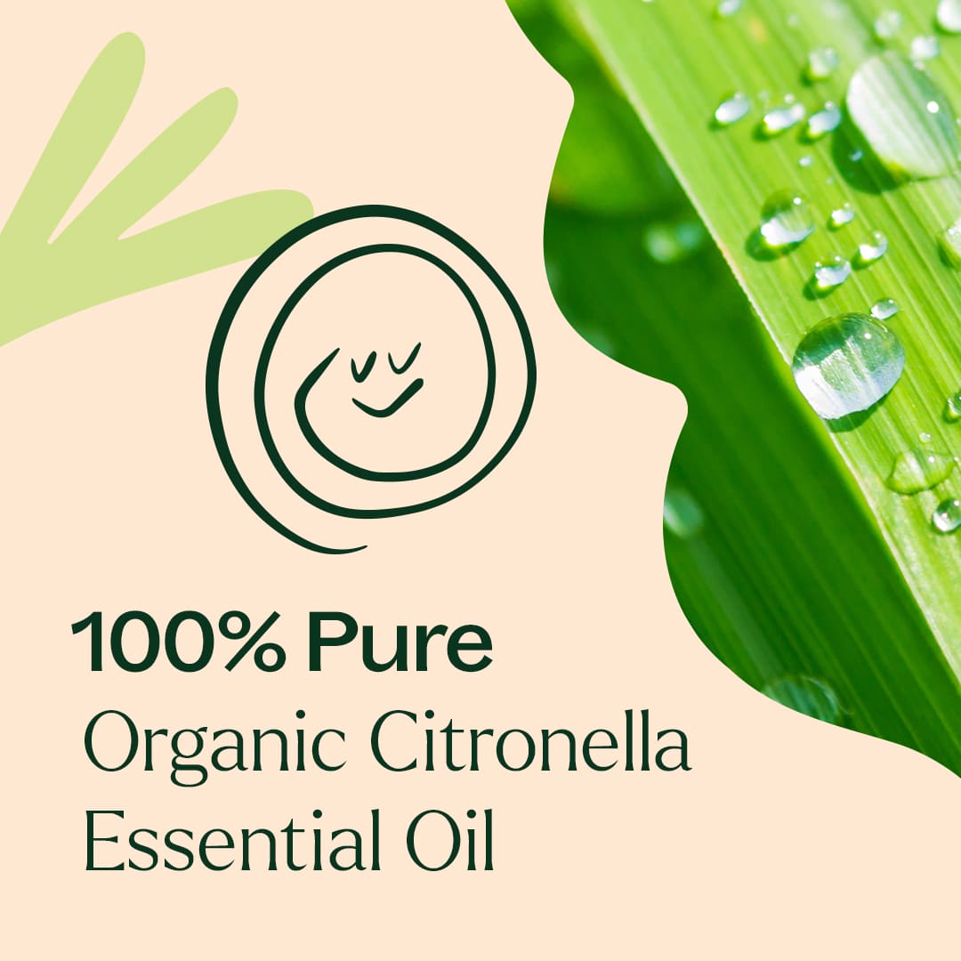Organic Citronella Essential Oil Plant Therapy