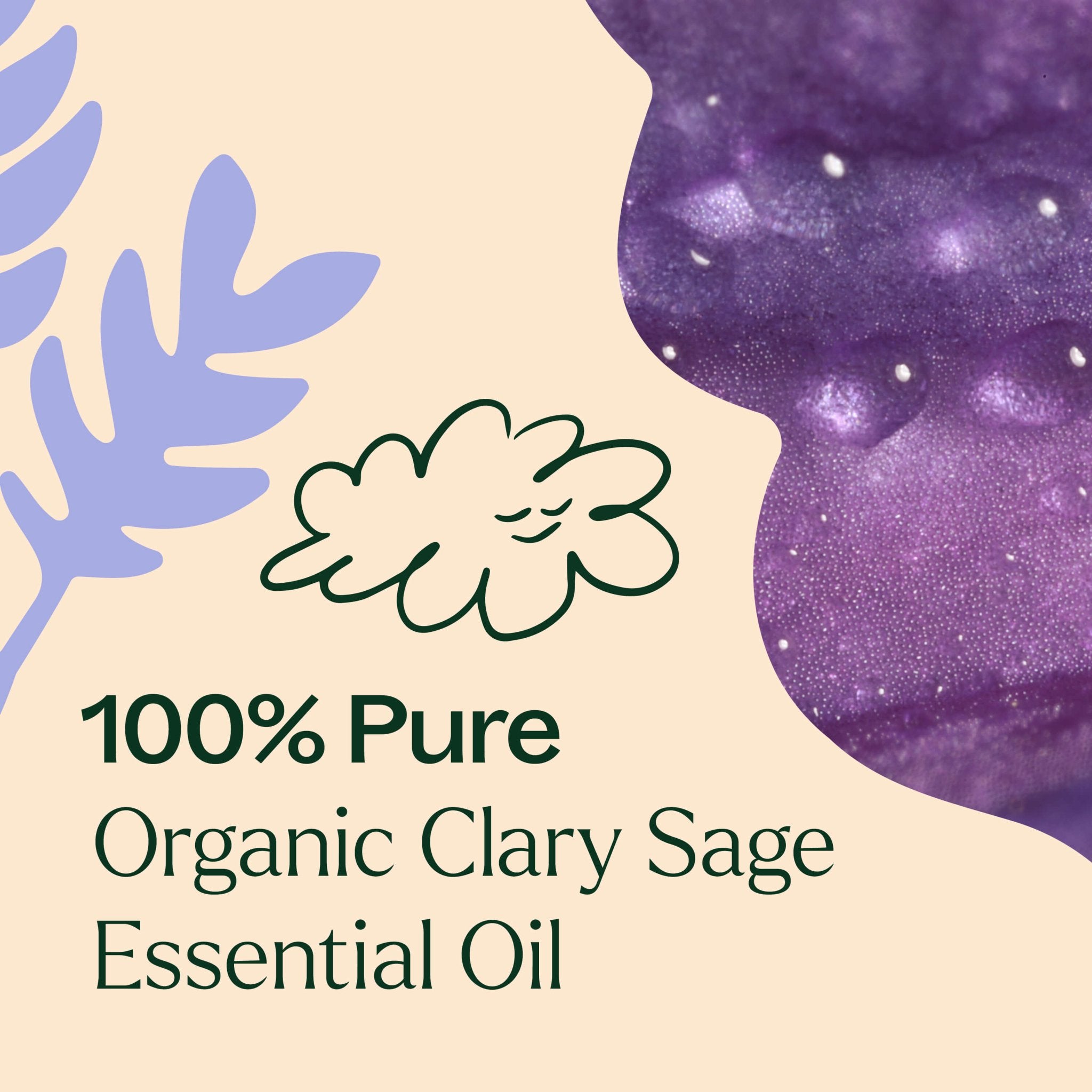 Organic Clary Sage Essential Oil Plant Therapy