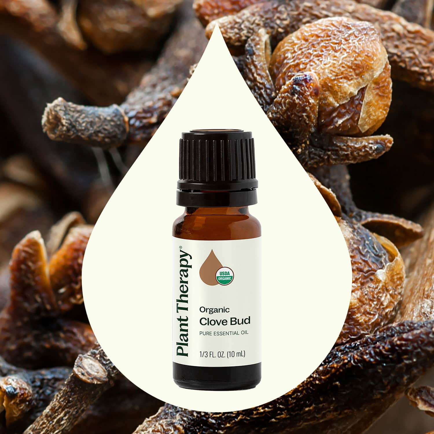 Organic Clove Bud Essential Oil Plant Therapy