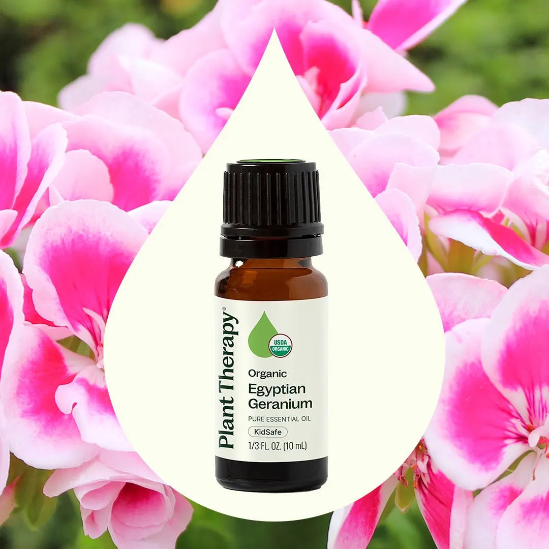 Organic Egyptian Geranium Essential Oil Plant Therapy