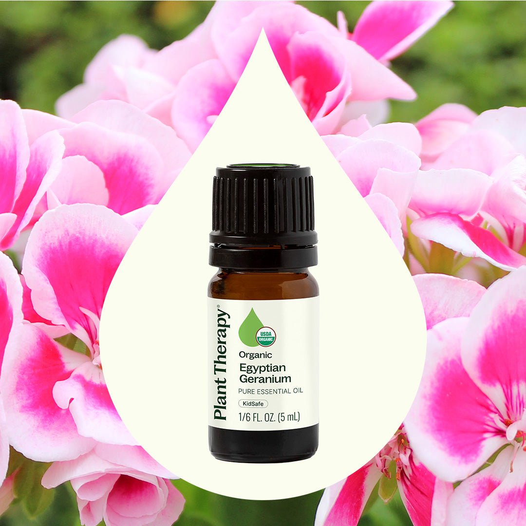 Organic Egyptian Geranium Essential Oil Plant Therapy