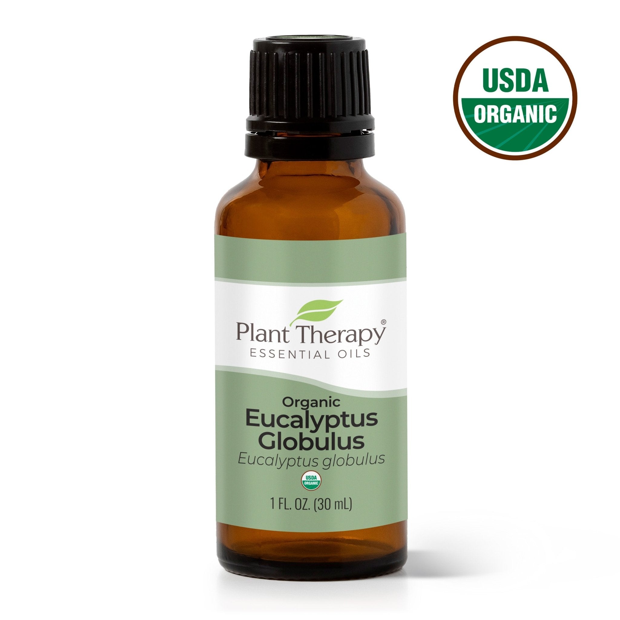 Organic Eucalyptus Globulus Essential Oil Plant Therapy
