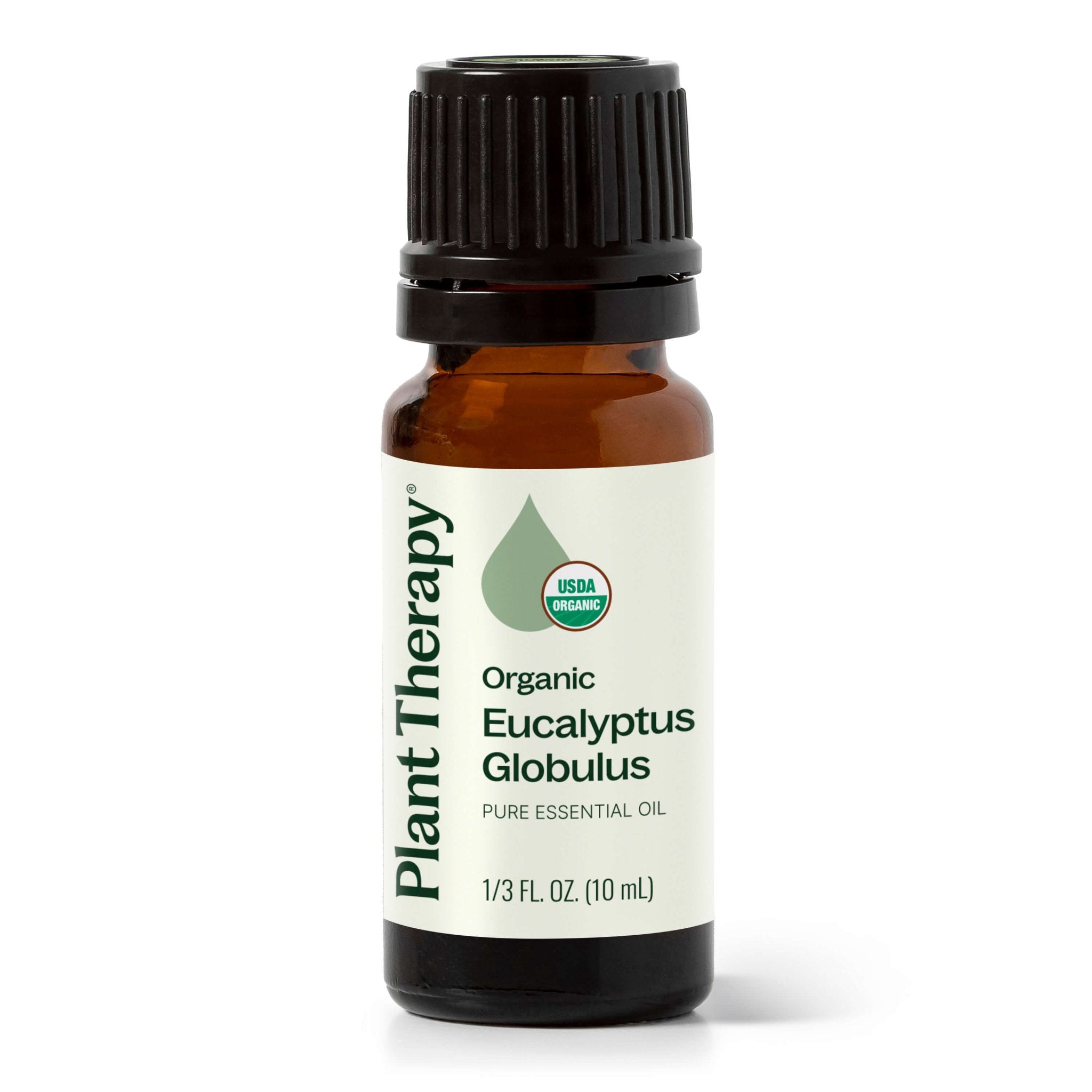 Organic Eucalyptus Globulus Essential Oil Plant Therapy