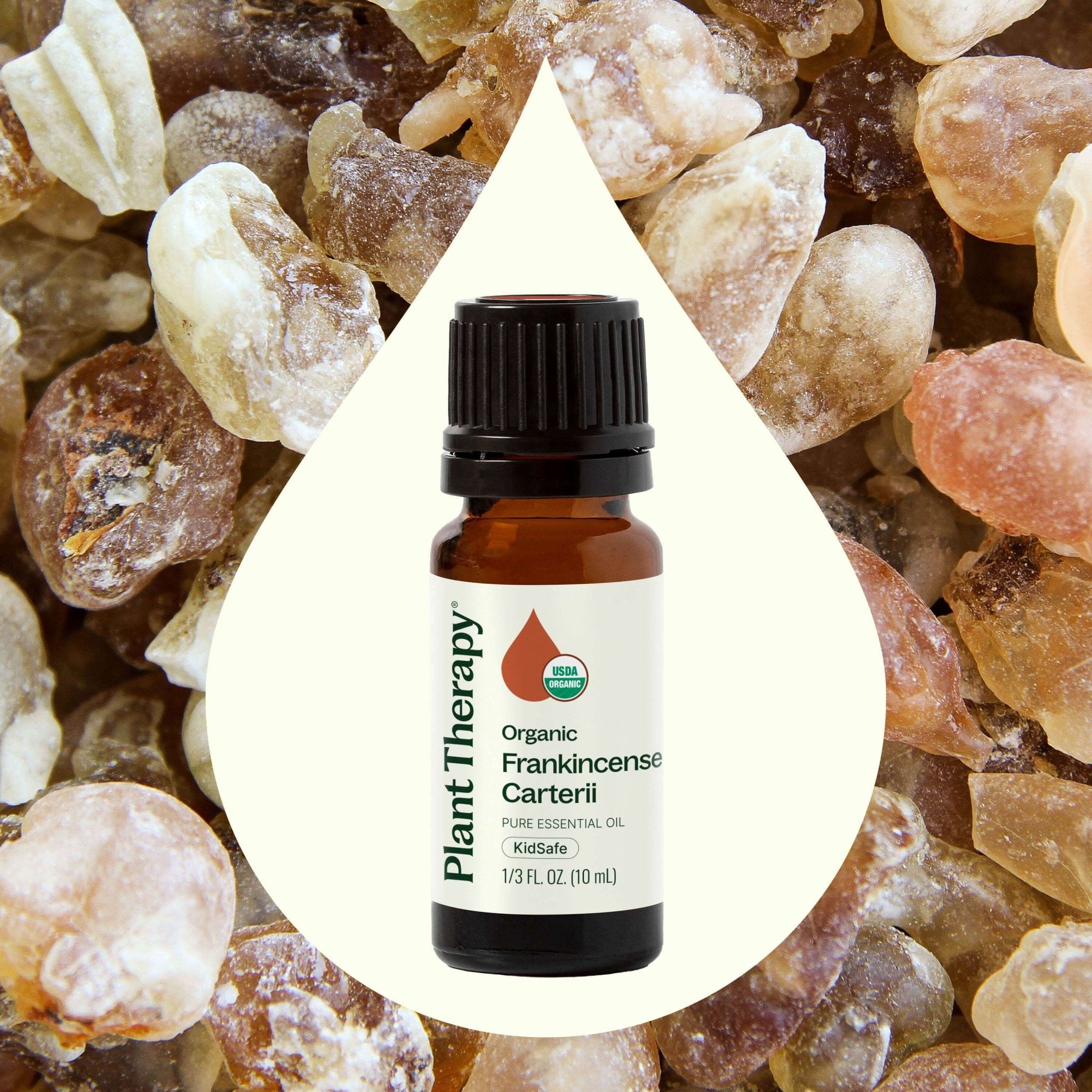 Organic Frankincense Carterii Essential Oil Plant Therapy