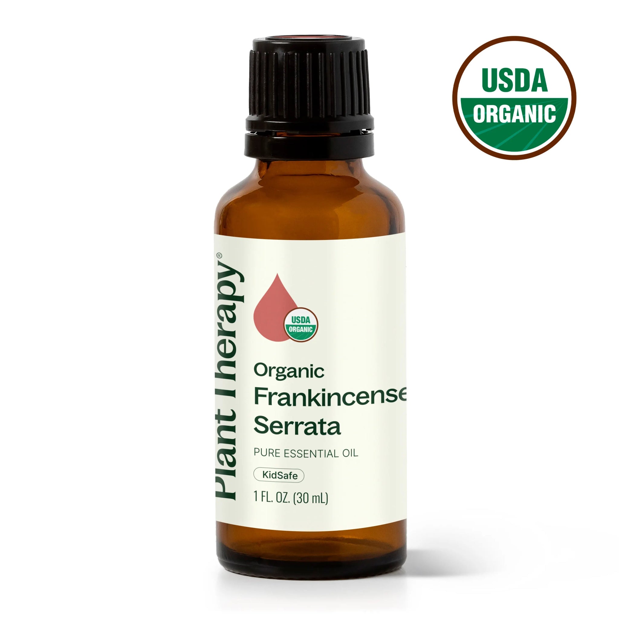 Organic Frankincense Serrata Essential Oil Plant Therapy