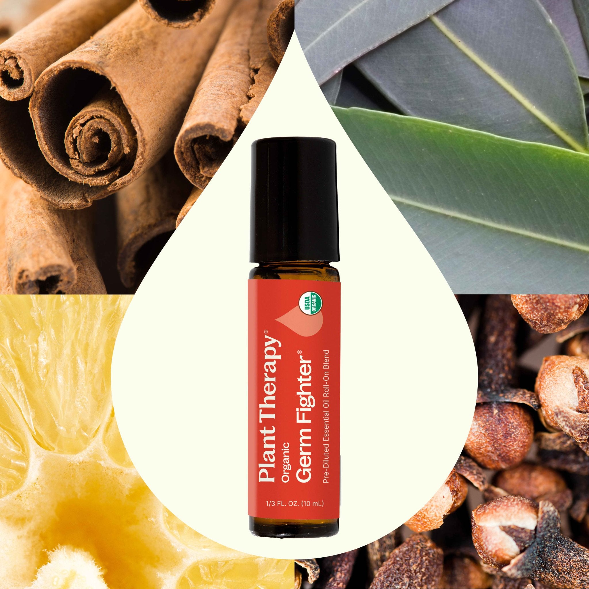 Organic Germ Fighter®️ Essential Oil Blend Pre - Diluted Roll - On Plant Therapy