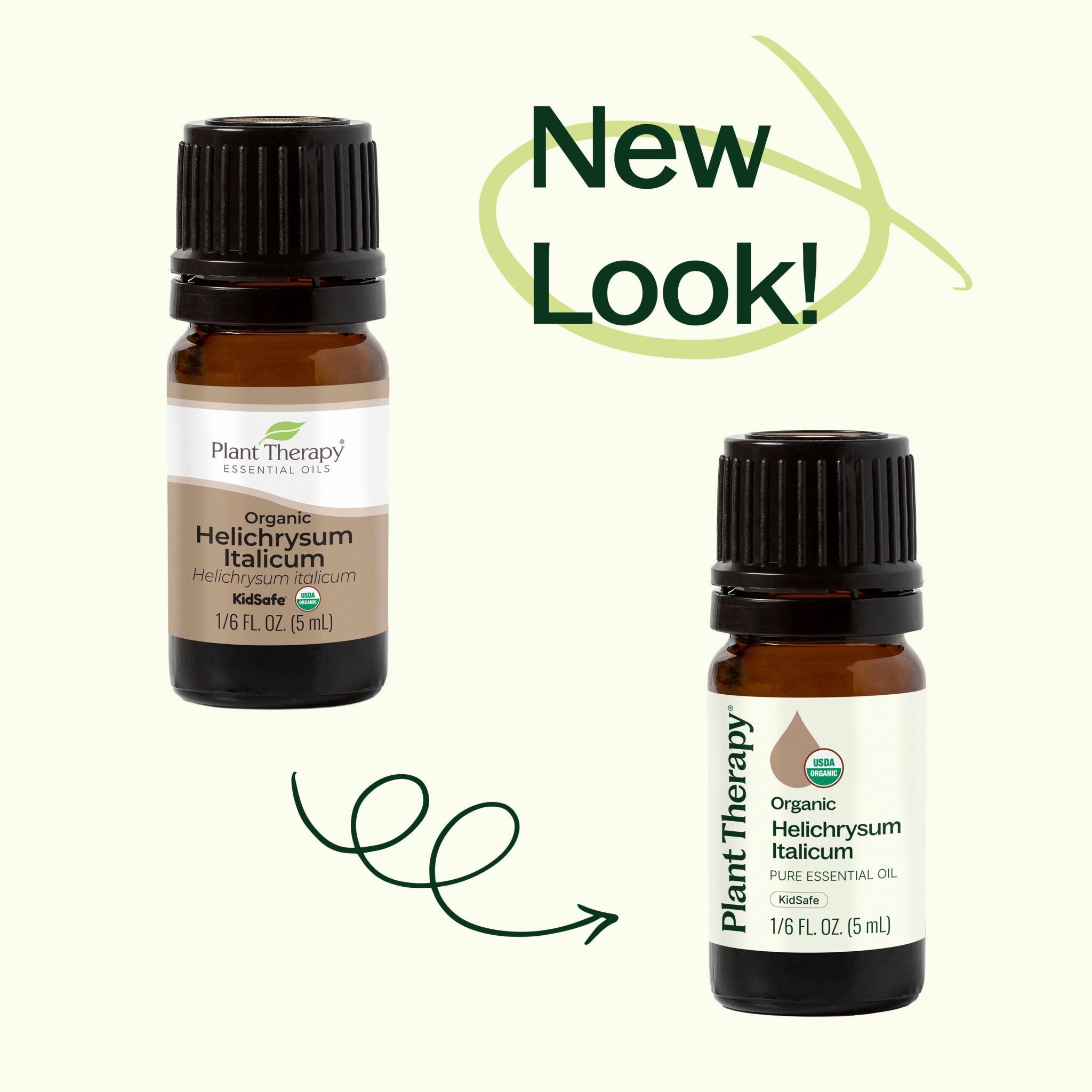 Organic Helichrysum Italicum Essential Oil Plant Therapy