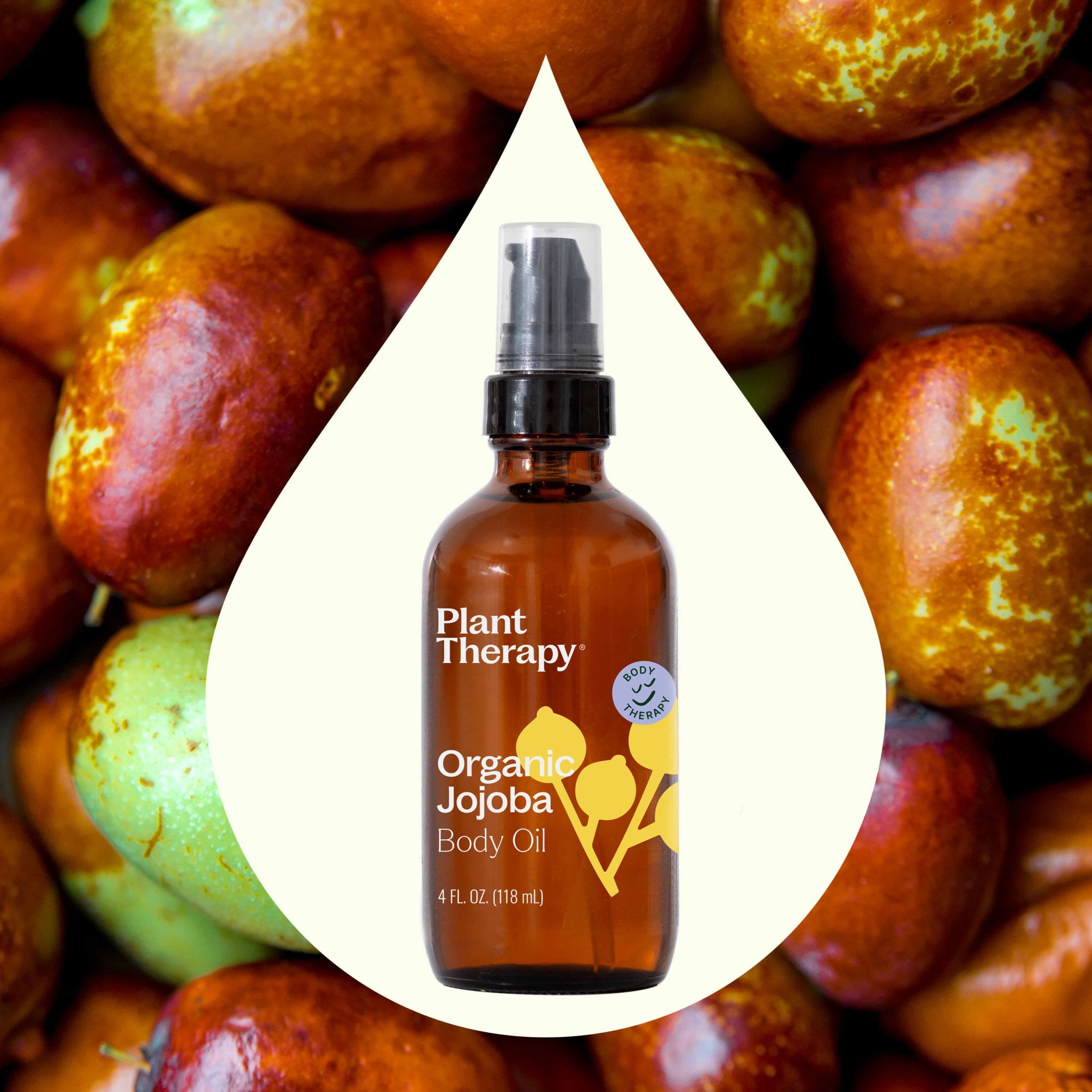 Organic Jojoba Body Oil 4 oz Plant Therapy