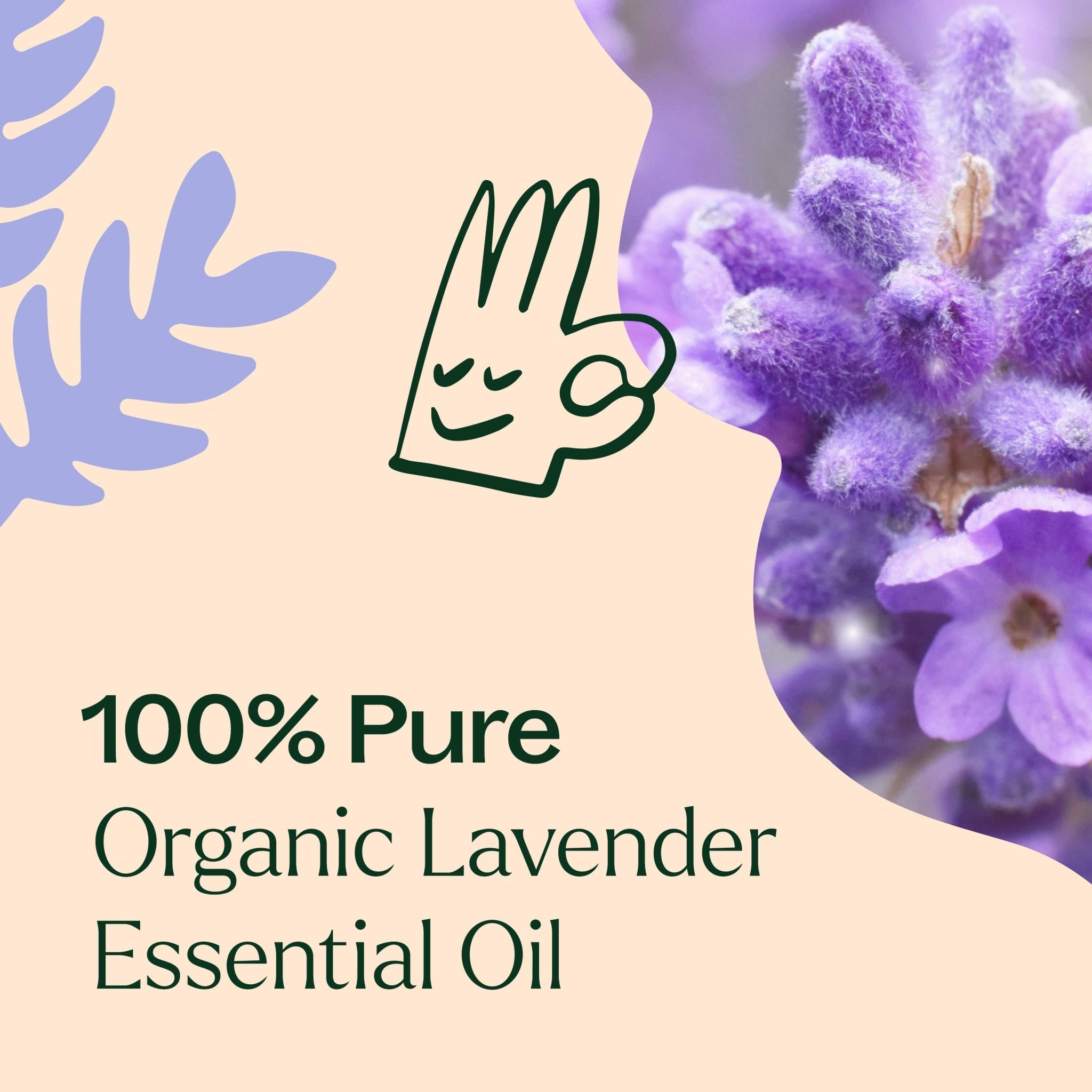 Organic Lavender Essential Oil Plant Therapy