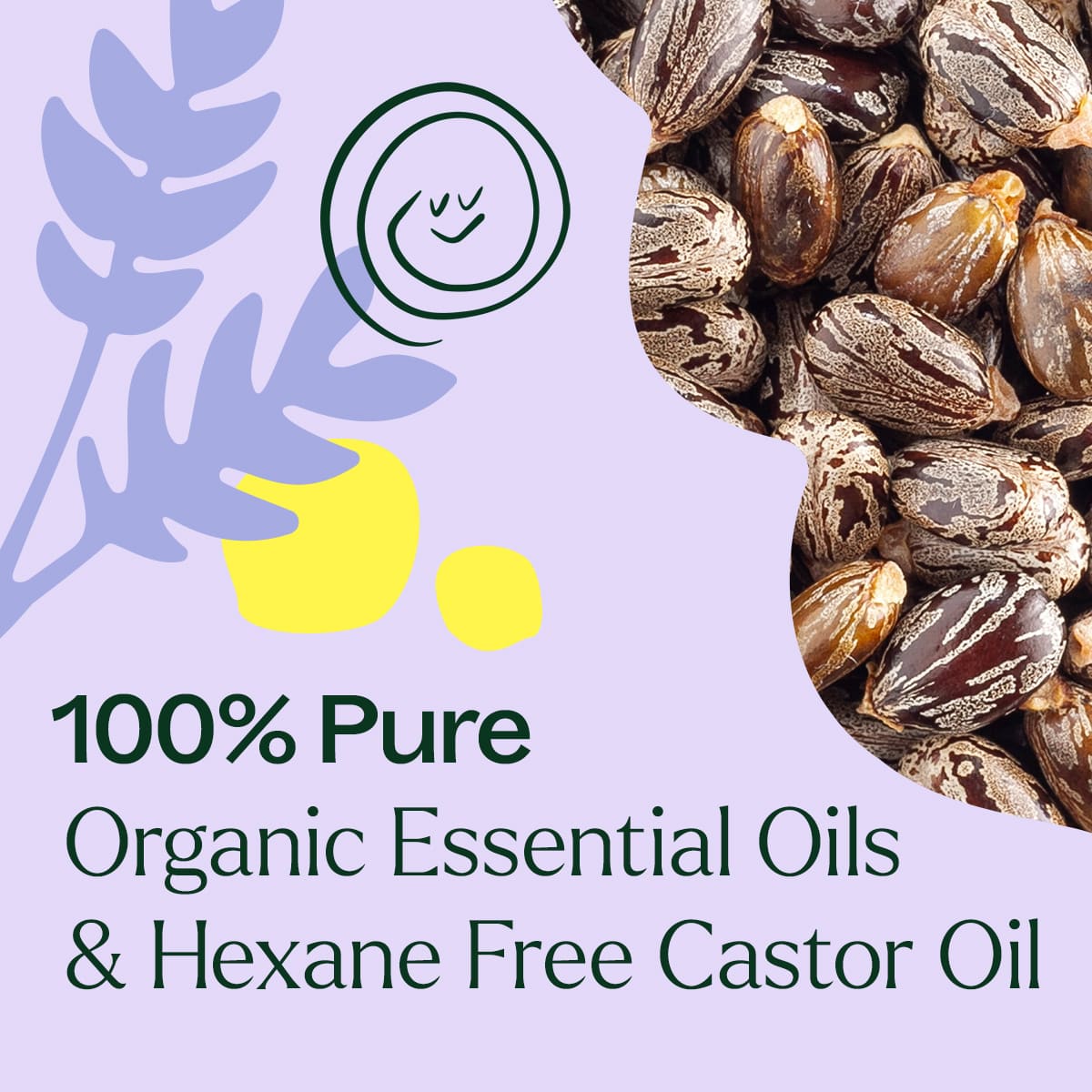 Organic Lavender & Frankincense Castor Body Oil Roll - On 30 mL Plant Therapy