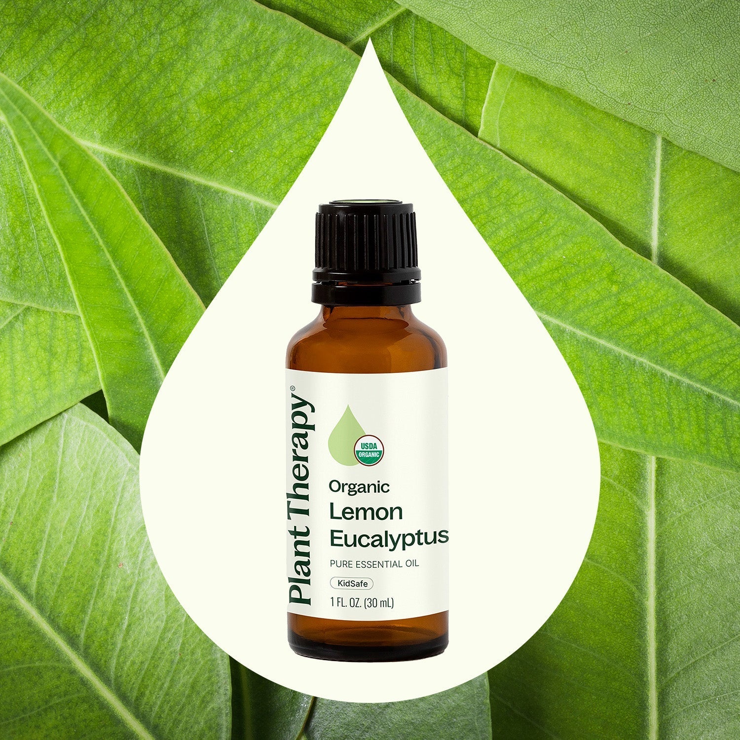 Organic Lemon Eucalyptus Essential Oil Plant Therapy