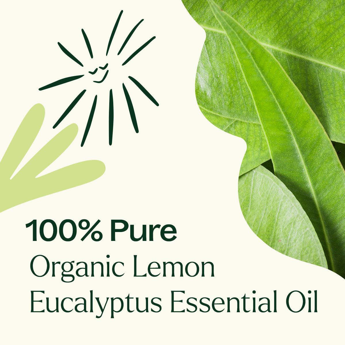 Organic Lemon Eucalyptus Essential Oil Plant Therapy