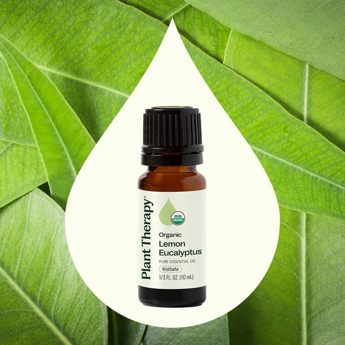 Organic Lemon Eucalyptus Essential Oil Plant Therapy