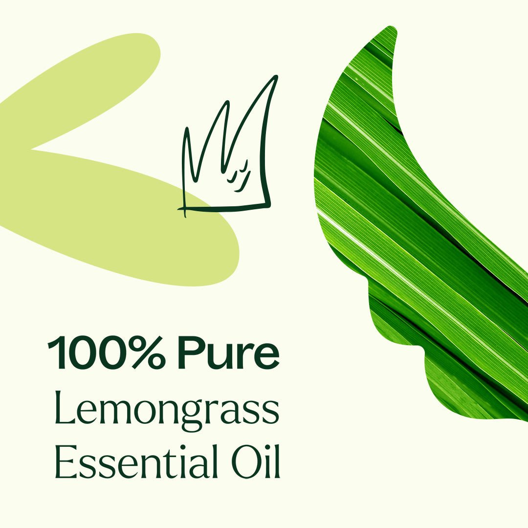 Organic Lemongrass Essential Oil Plant Therapy